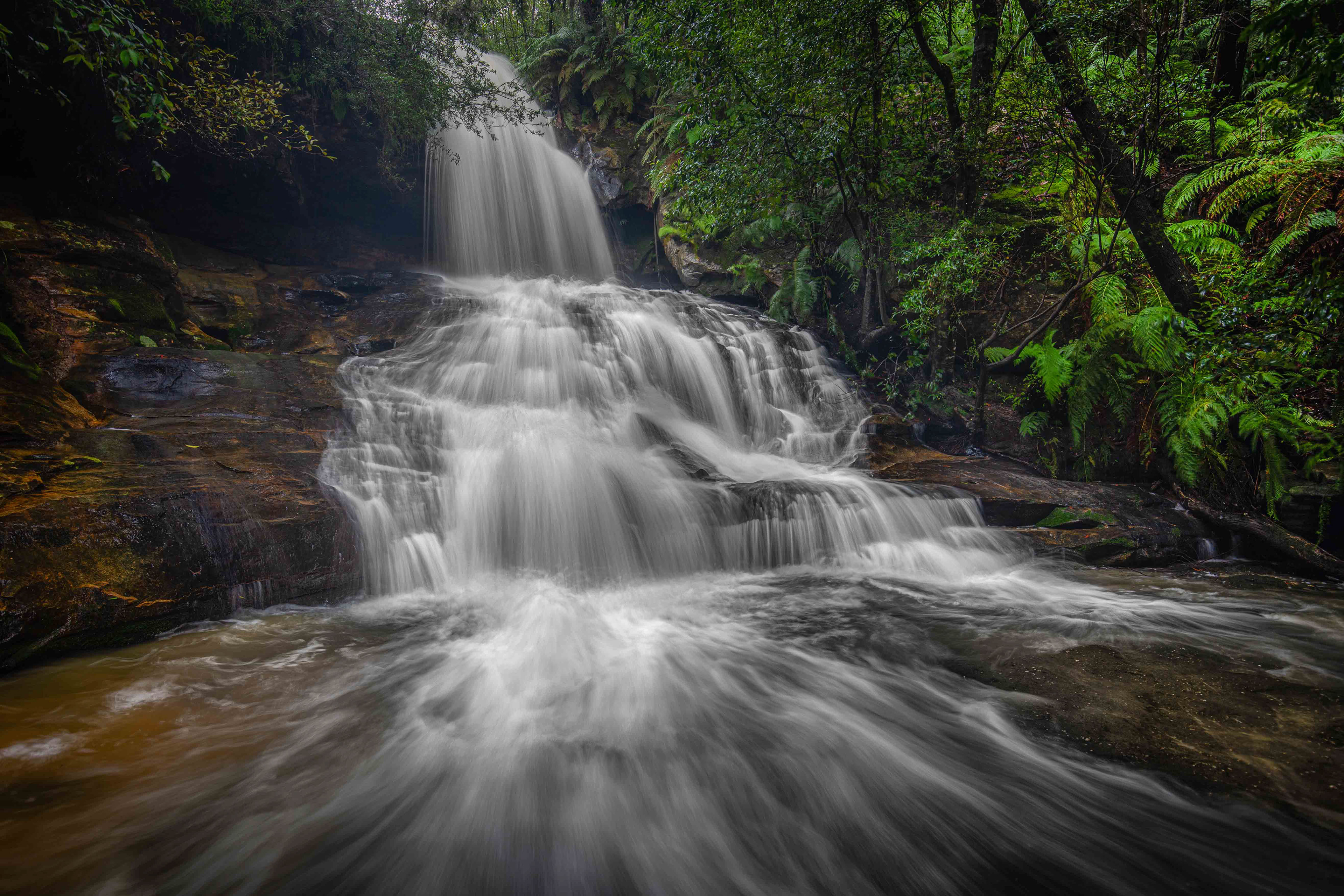 Lyrebird Falls Hazelbrook.