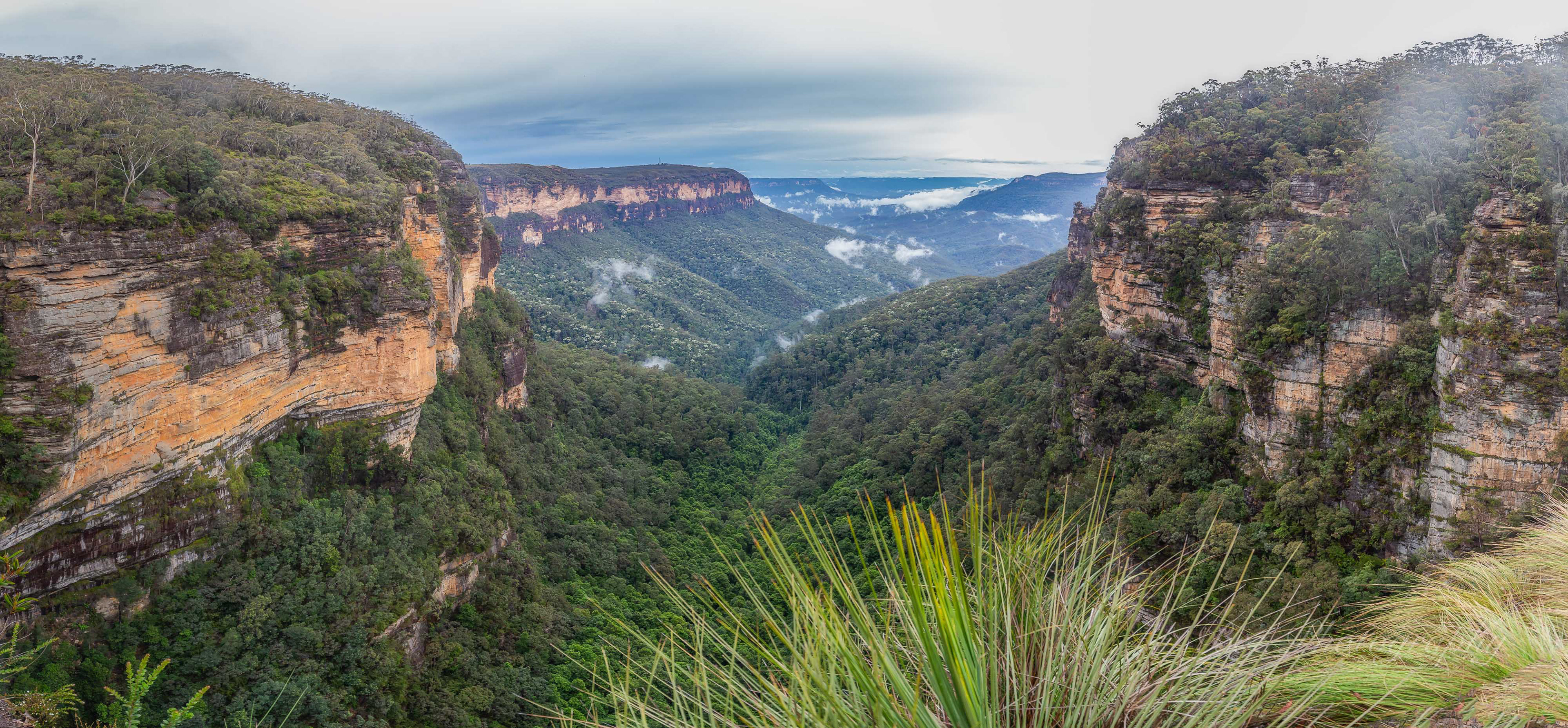 Valley of the Waters. Blue Mountains.