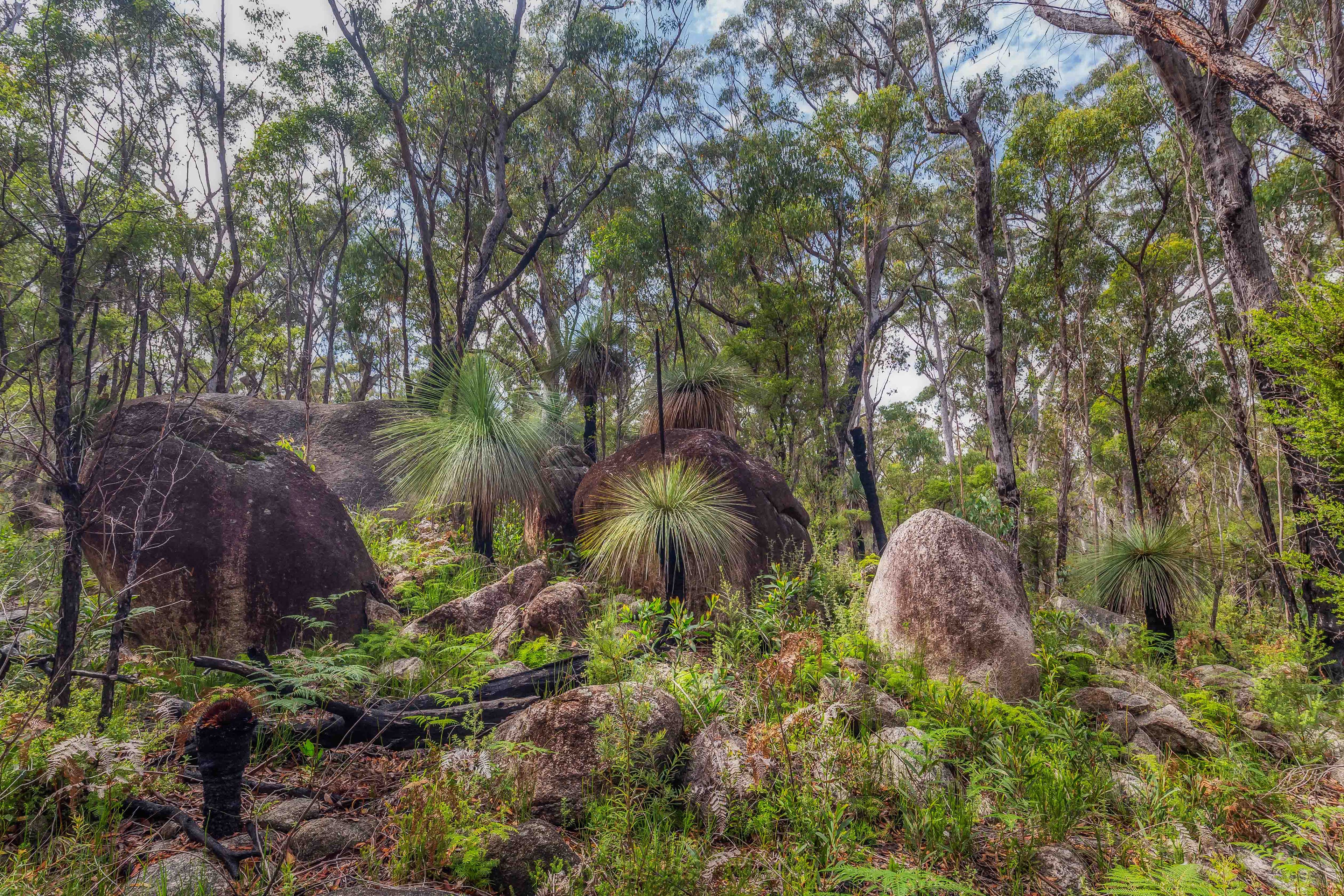 Mulligan's Hut, Gibraltar NP.