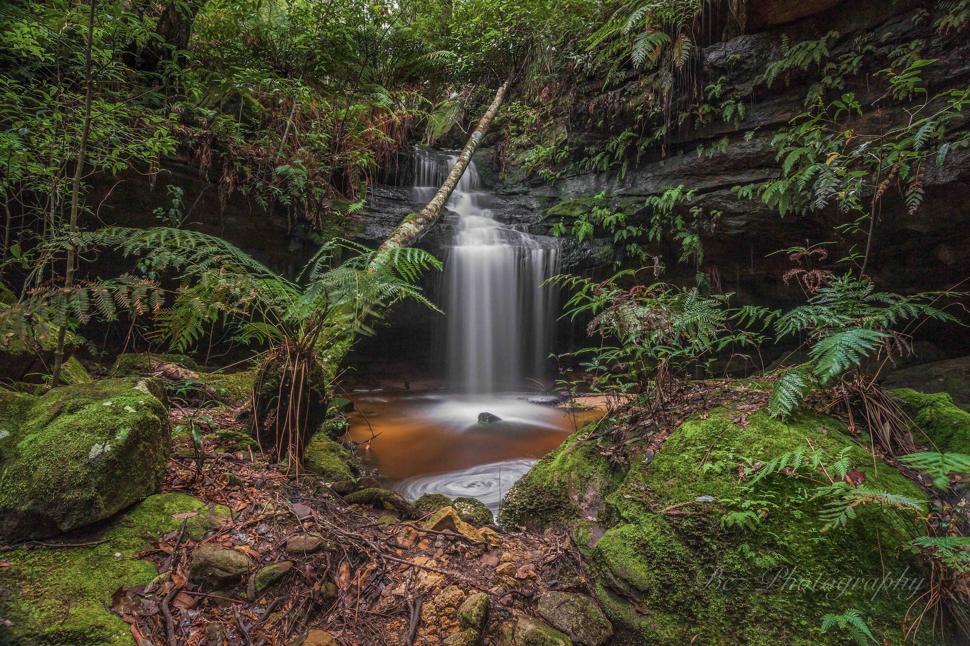 Glow Worm Nook Falls.
