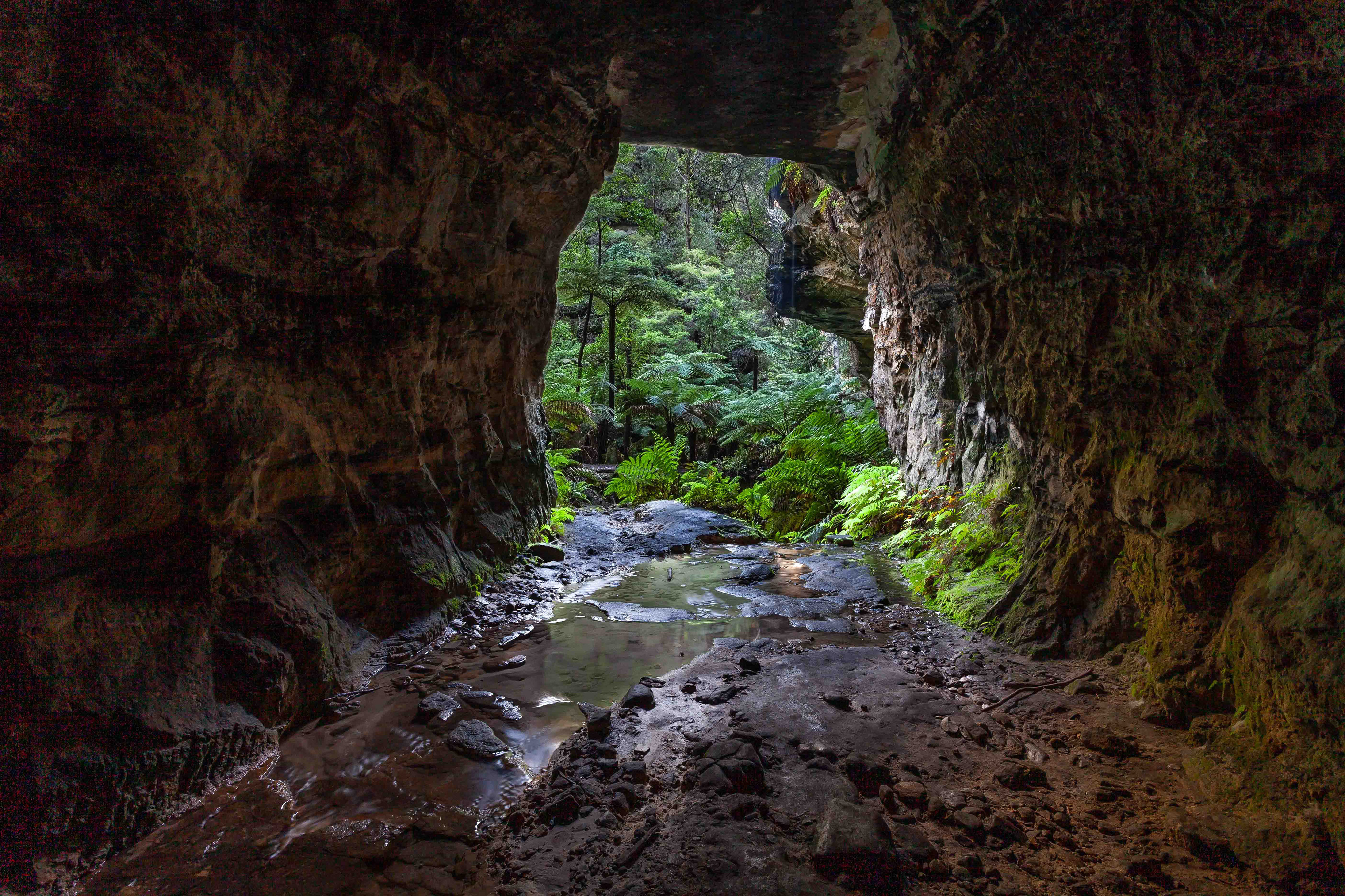 Glow Worm Tunnel, Newnes.