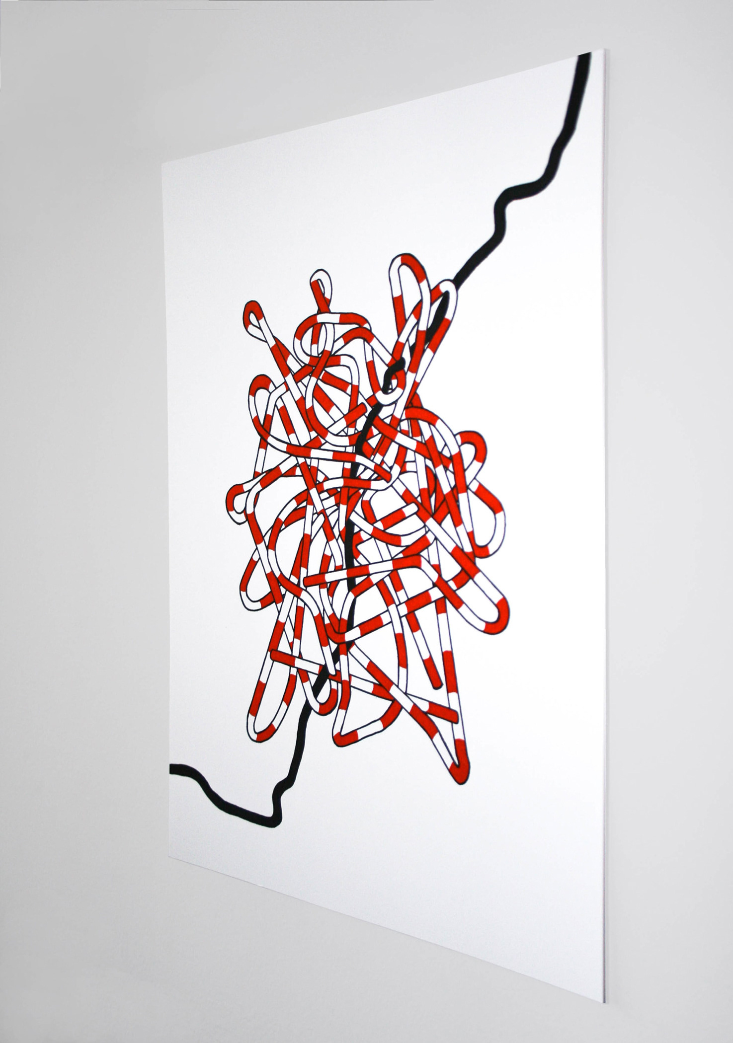 Side view of the Dividing Lines: The Knot