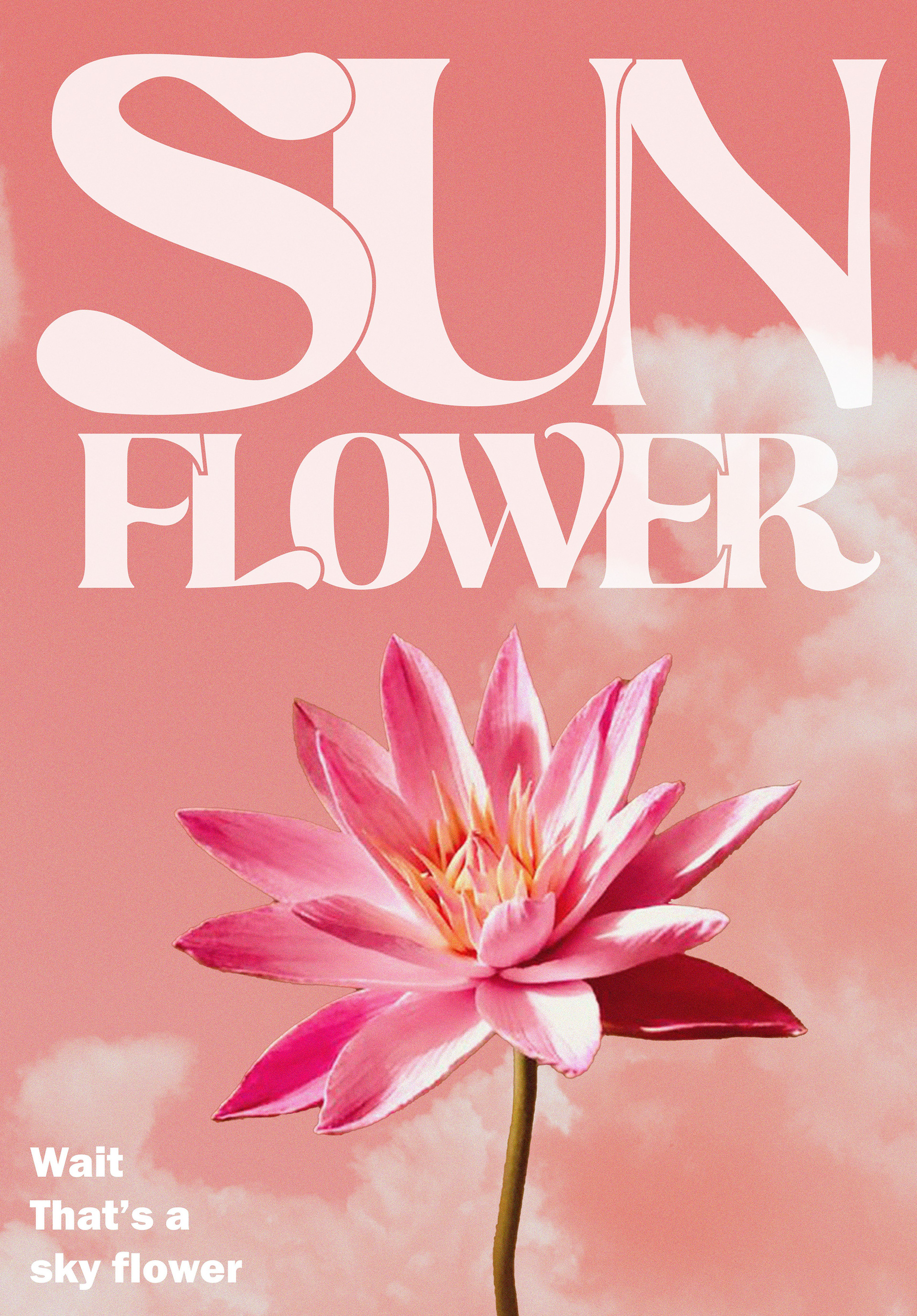 Sun Flower