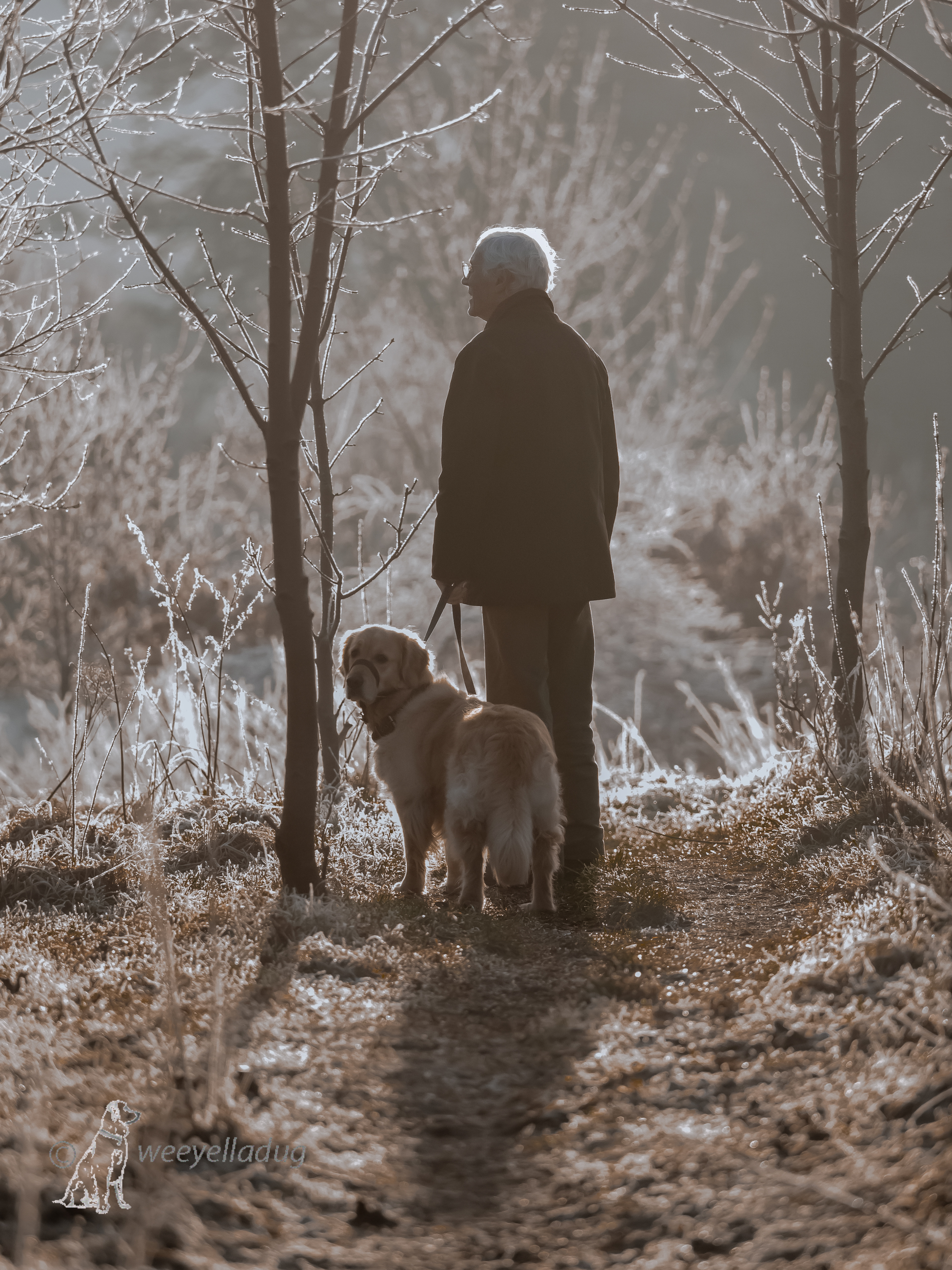 Frosty one man and his dug