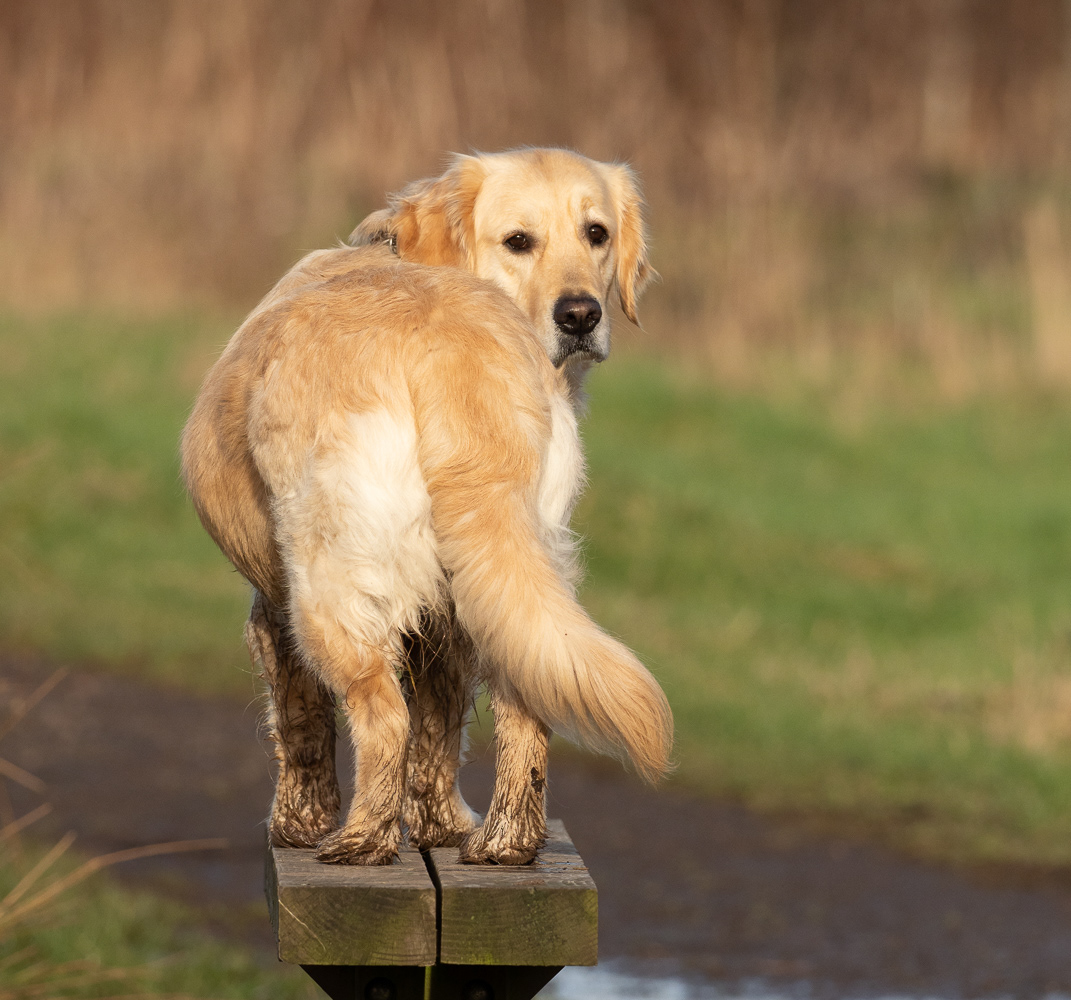 Does my bum look big on this bench?