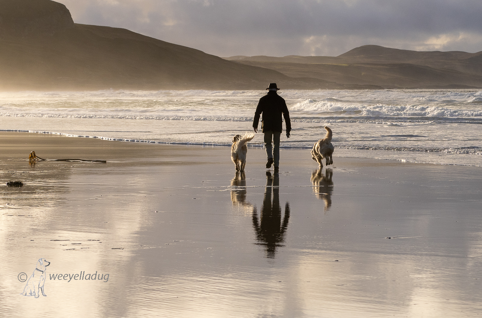 ... and then there were two.