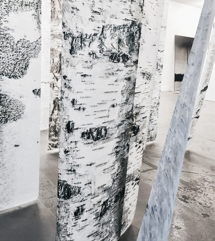 A Forest, Salon Approche, novembre 2017, Paris