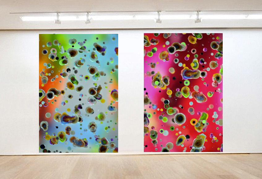 2013 - 185x123cm/72,8'x48,4'