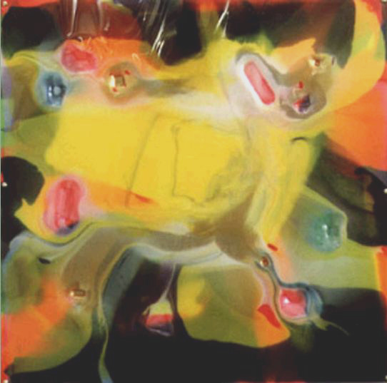 1997 - 100 x 100cm/39,3’x39,3’ - Polymer on polycarbonate on canvas