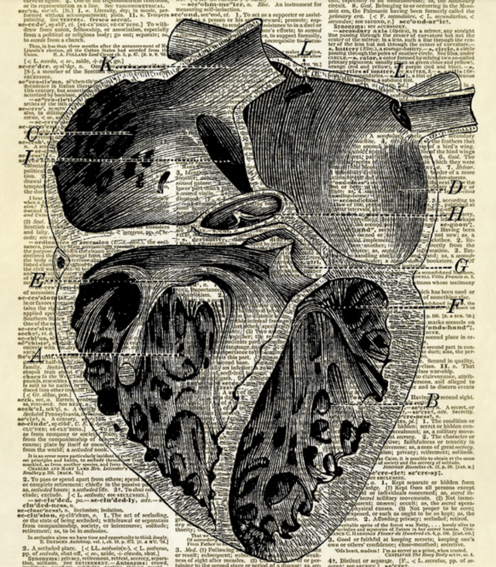 https://storenvy.com/products/22102031-interior-of-a-human-heart-dictionary-art-print-no-21/v/75483968?epik=dj0yJnU9aFZUZHpPd3I5T1dreEgwMDVETHZlbkUwVTh0eXhQWGkmcD0wJm49bEZ4blVkNUFQRGdyMVB6SWFPUVNBZyZ0PUFBQUFBR0lsREFZ