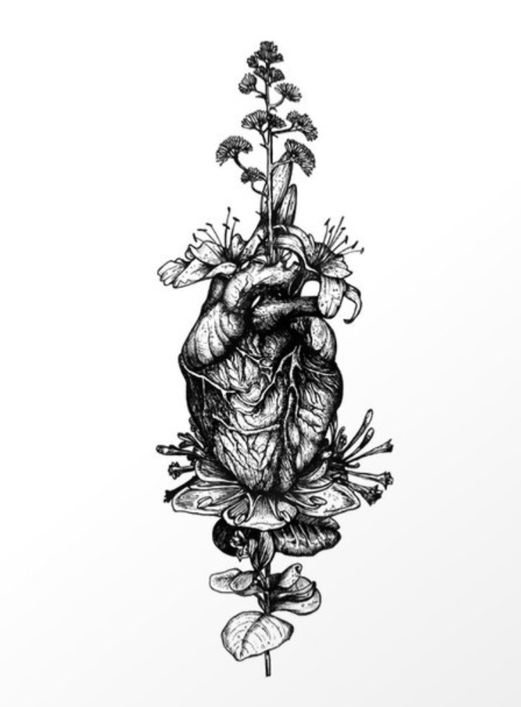 https://society6.com/product/in-bloom-03_print?sku=s6-3512913p4a1v46&utm_source=pinterest&utm_medium=social&utm_campaign=2331&epik=dj0yJnU9N2dkUTdDVlg0cl9WRVptRmZ6M2FOM2x6STV3NmZ2QmMmcD0wJm49aUFRV2JLWmJITHhJQjRDSTkyaFNfdyZ0PUFBQUFBR0lsQ3VV
