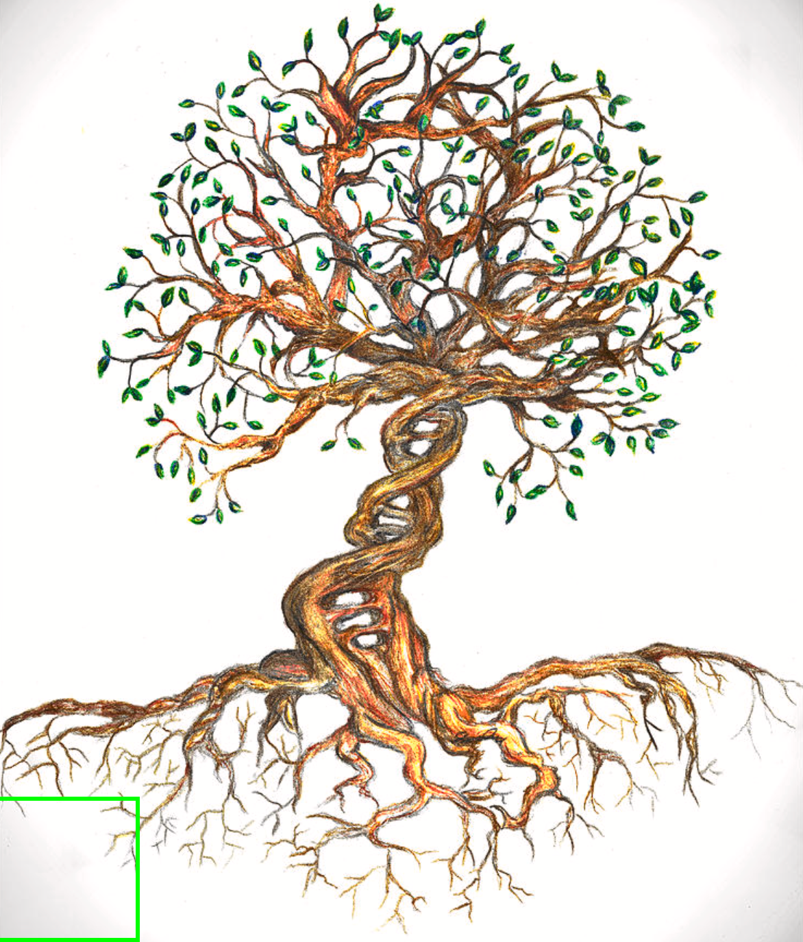 https://pixels.com/featured/dna-tree-of-life-joanna-aud.html