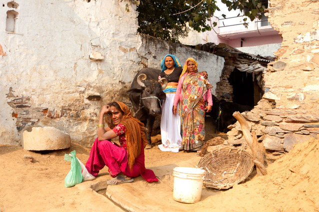 La mere de Meena pose avec de la famille et le buffle de Meena.