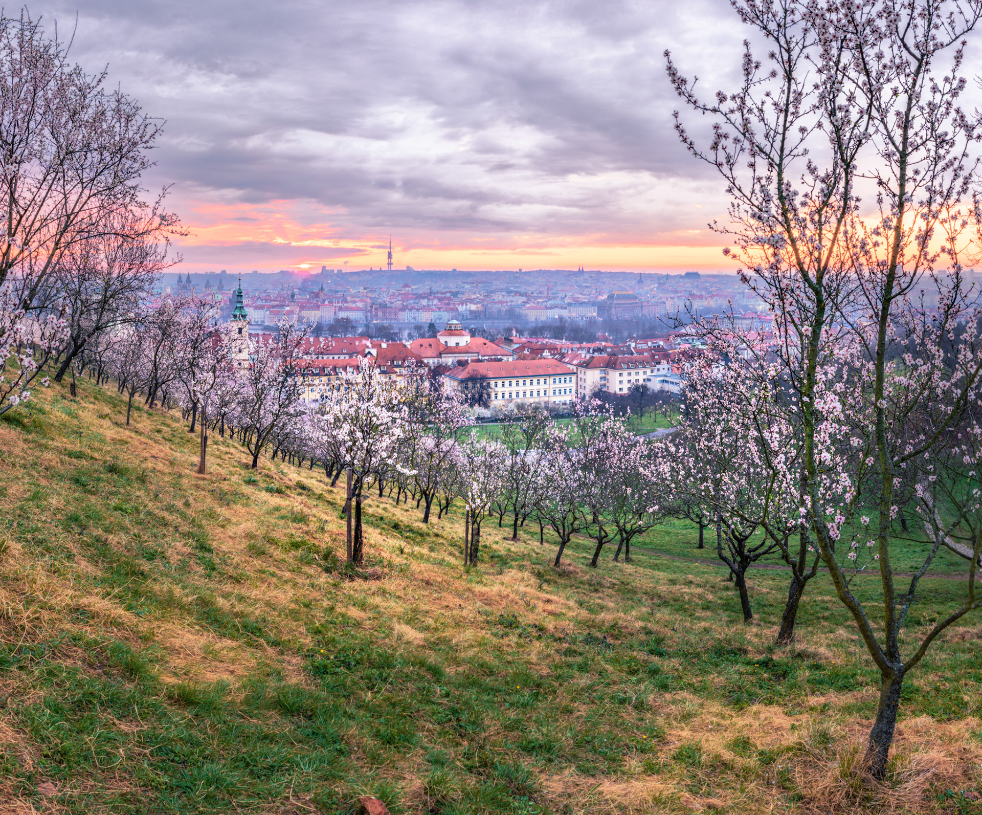 Petřín