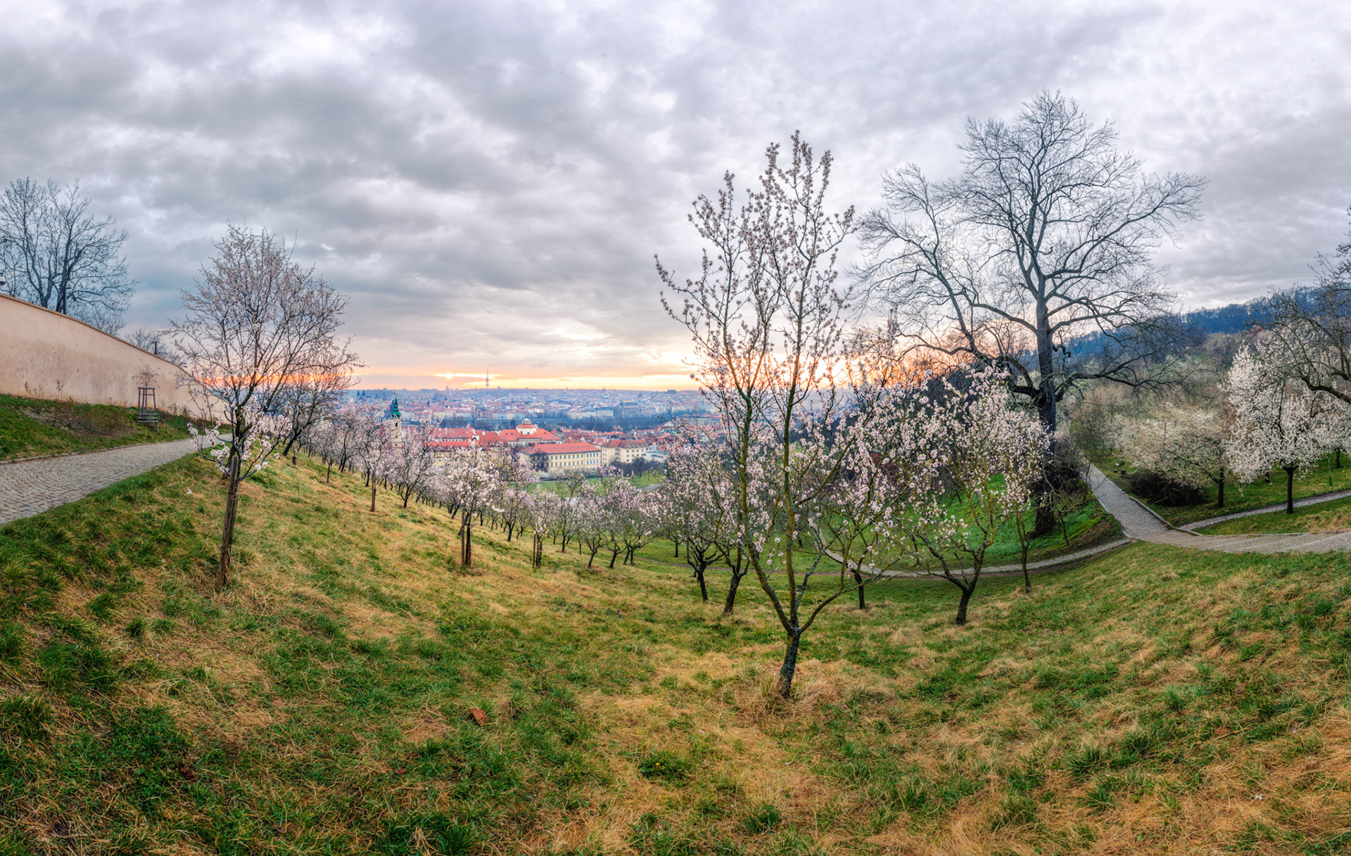Petřín