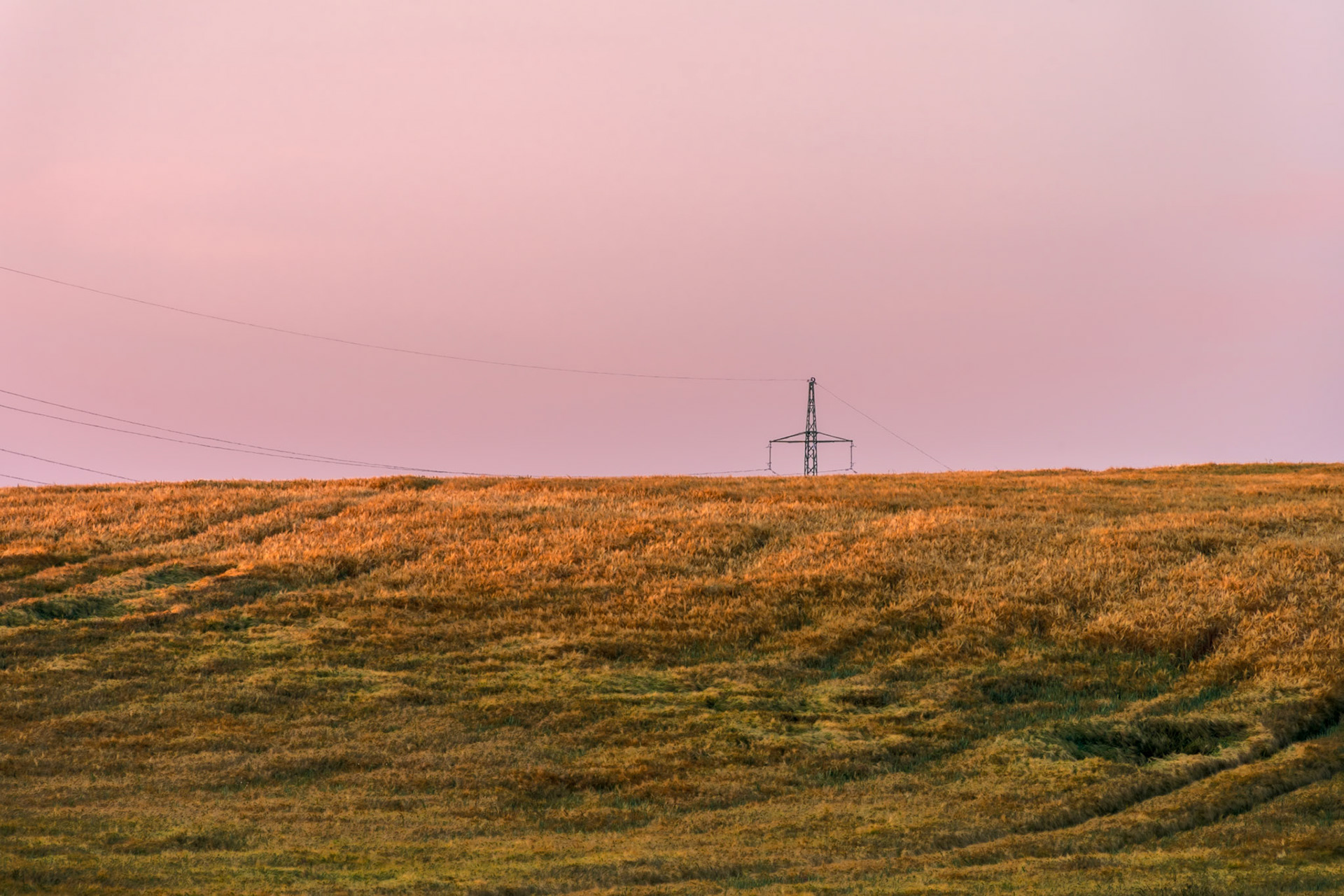 Cesta za horizont