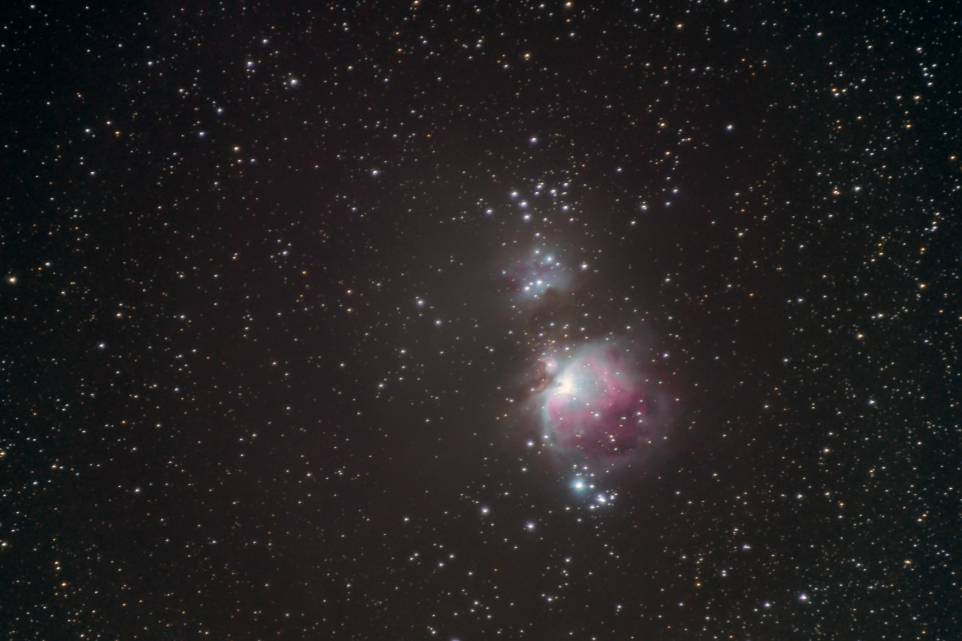 Orion