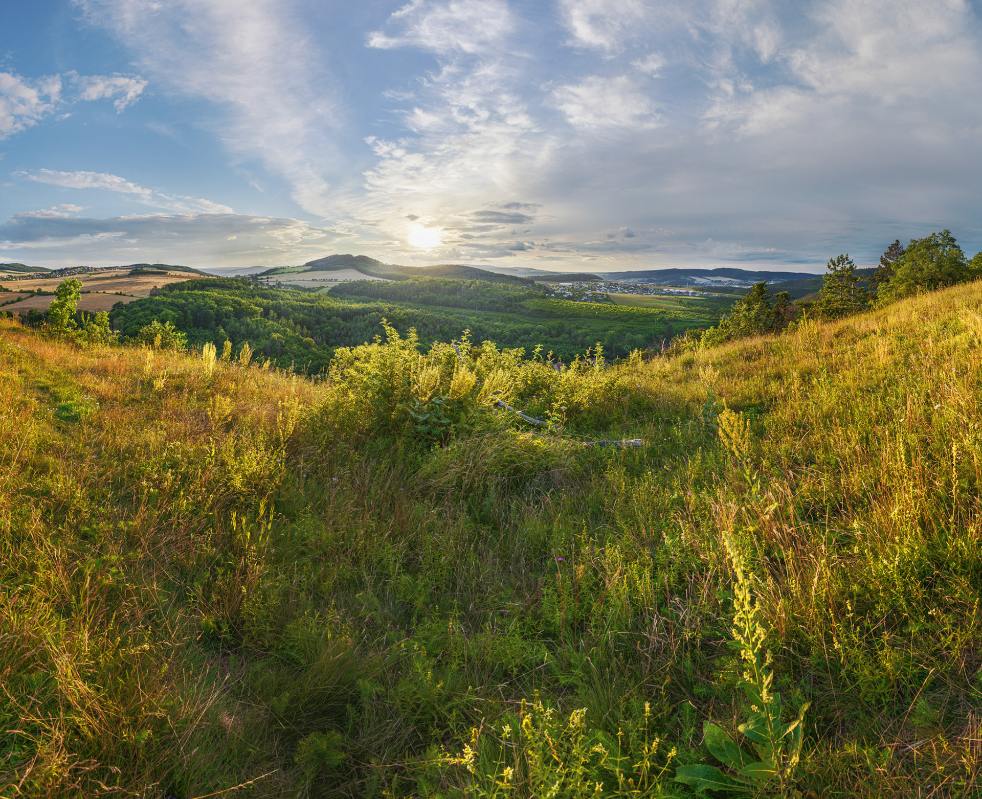 Kotýz
