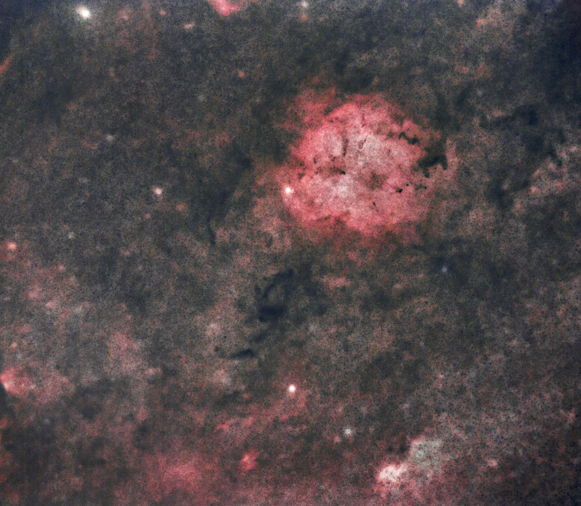 Cepheus