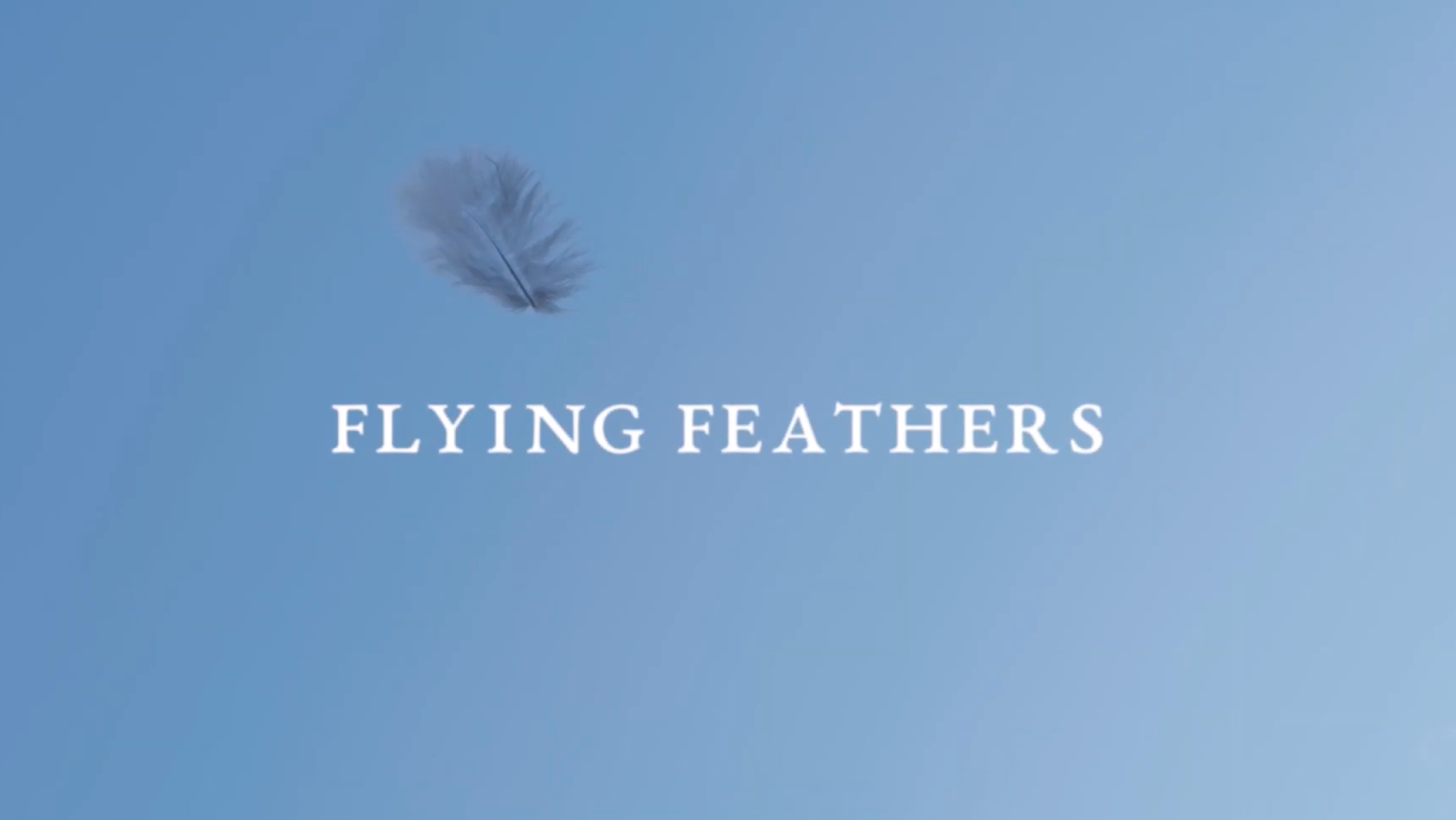 Flying Feathers - Blue