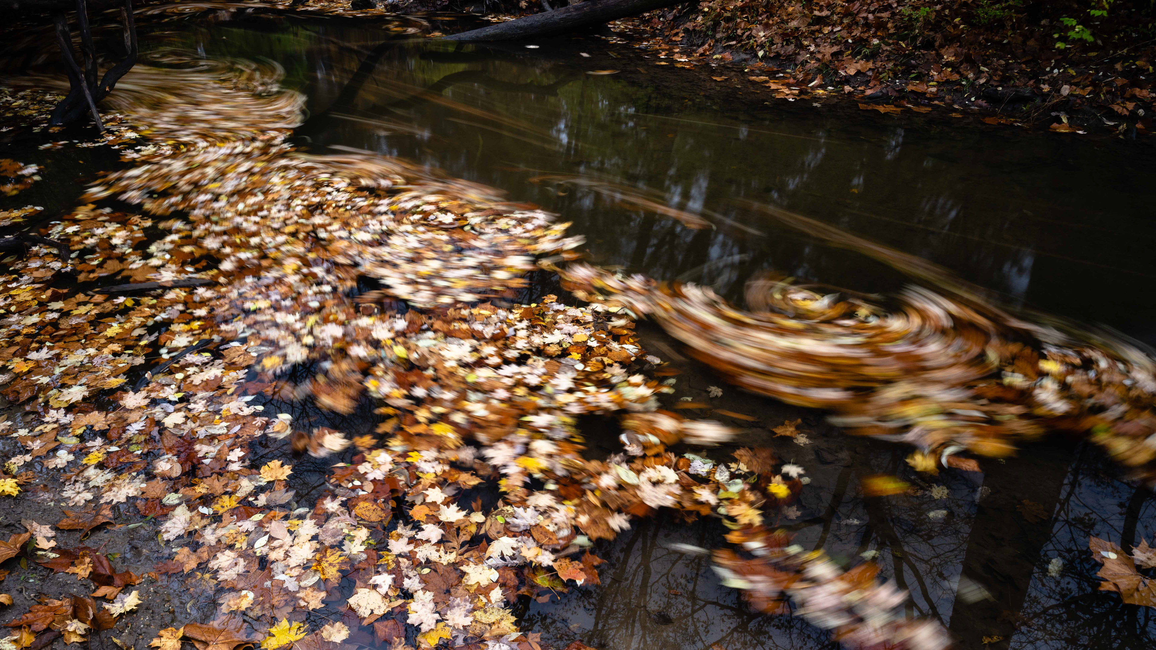 Swirling on Sand Creek