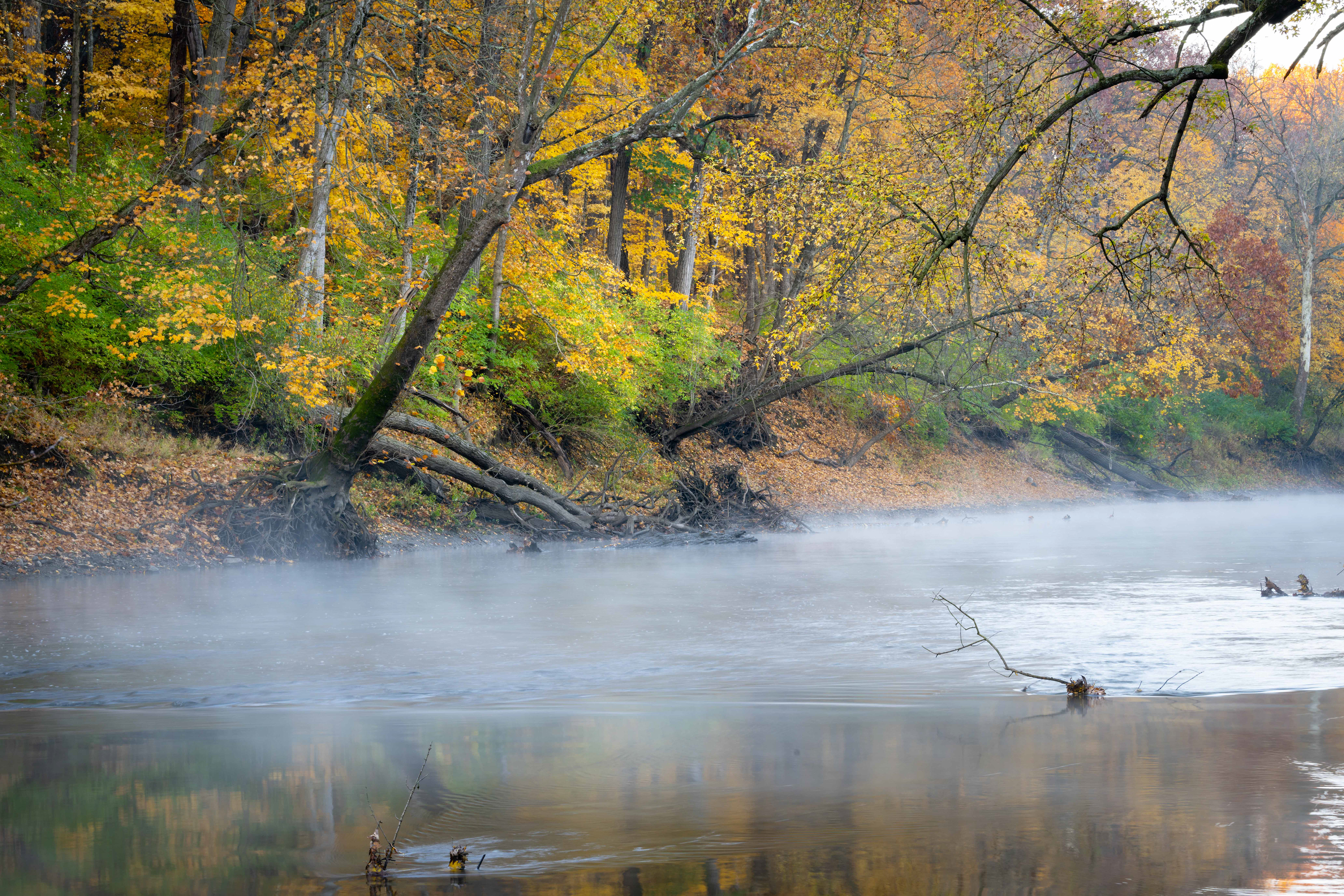 Sangamon River Fog 2
