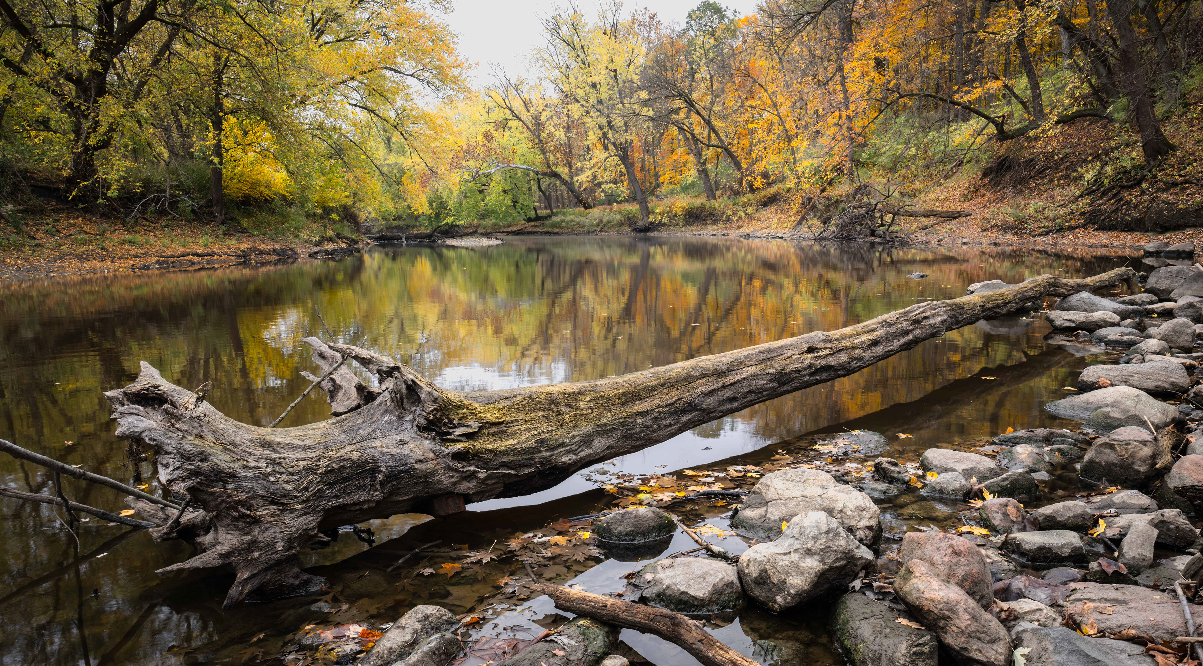 Sangamon River Old Dam