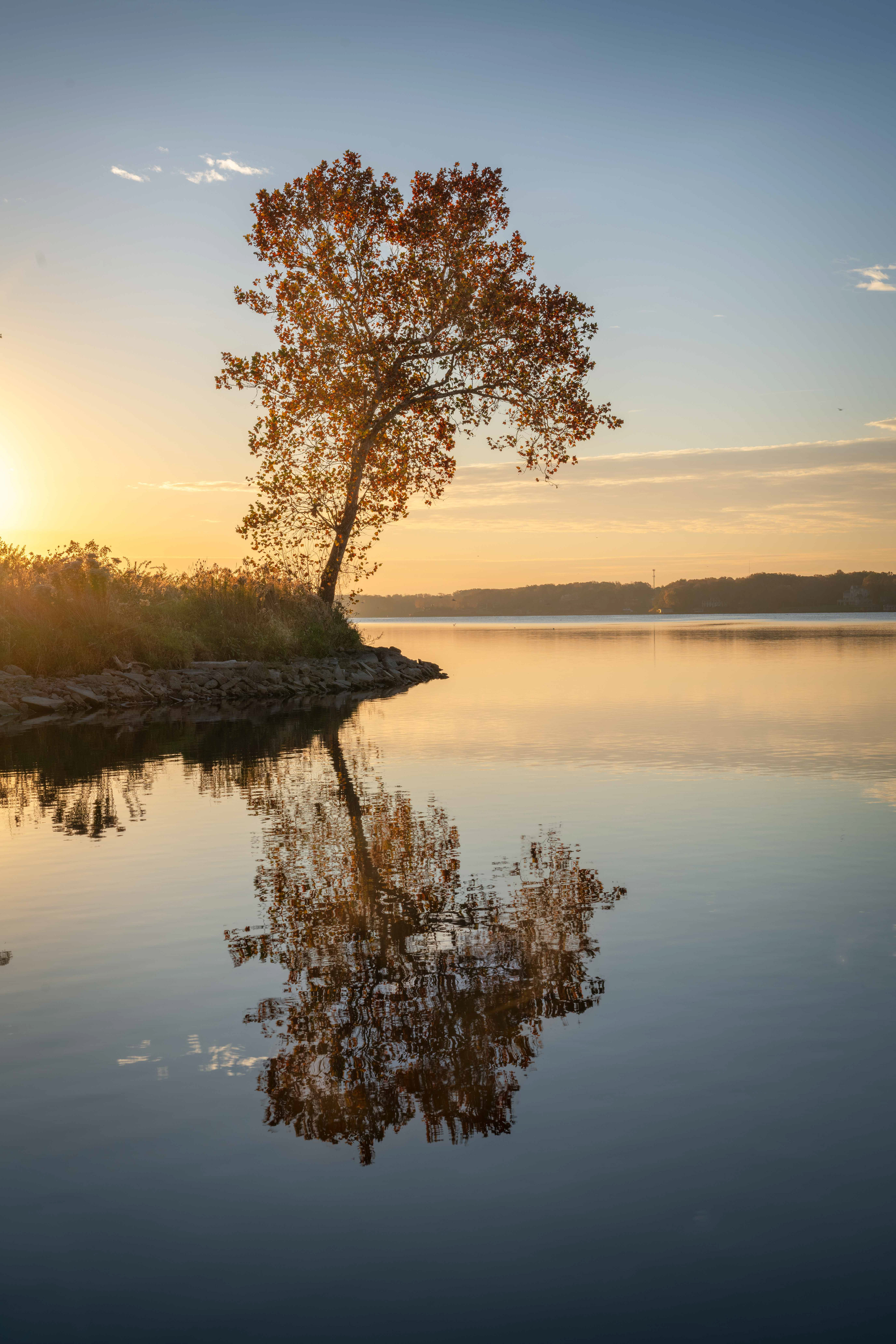 Lake Decatur Reflection