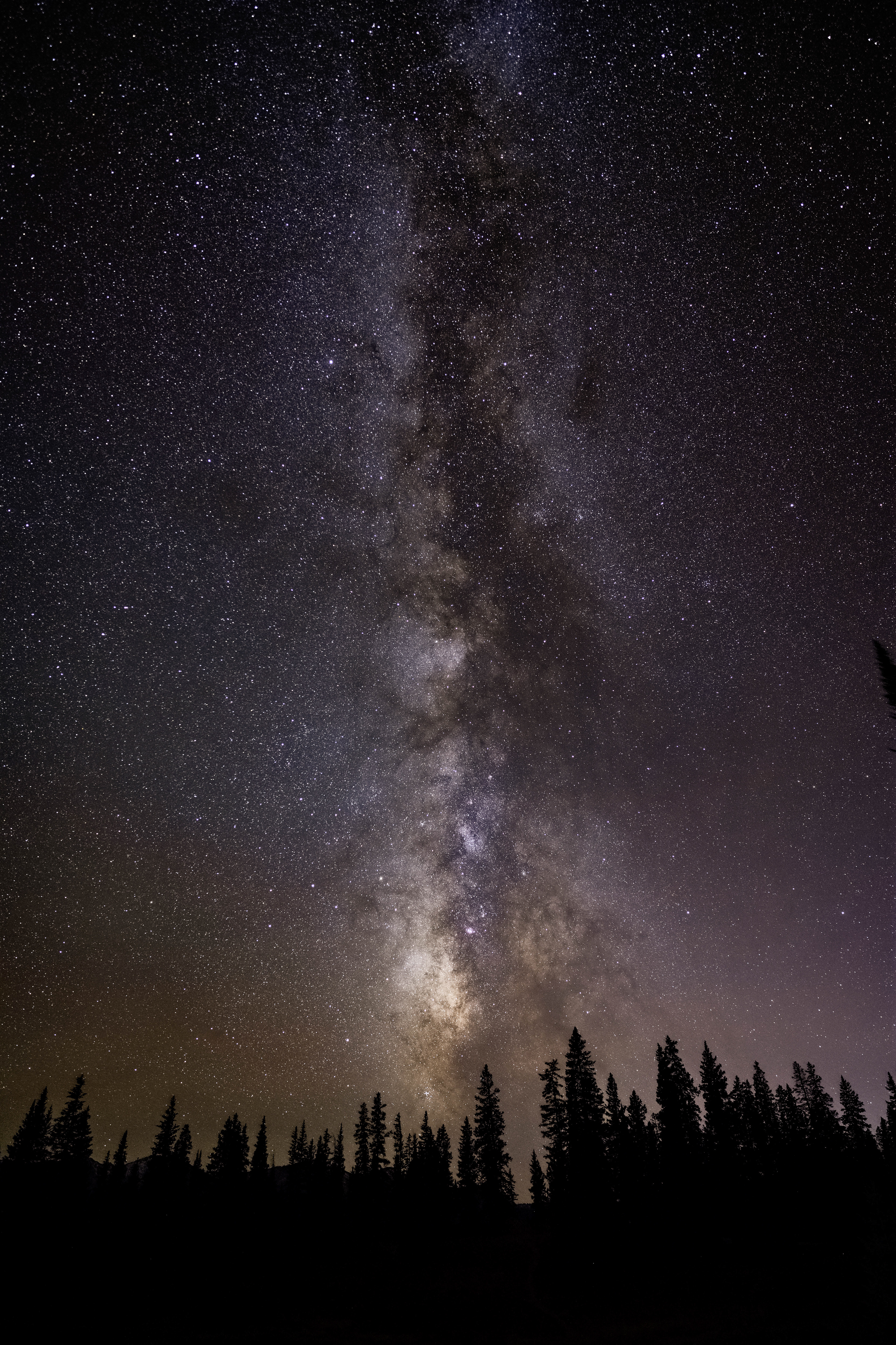 Colorado Milkyway