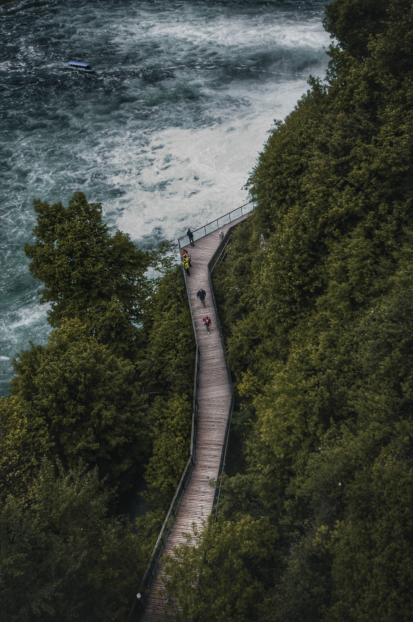 Wooden path towards the lake