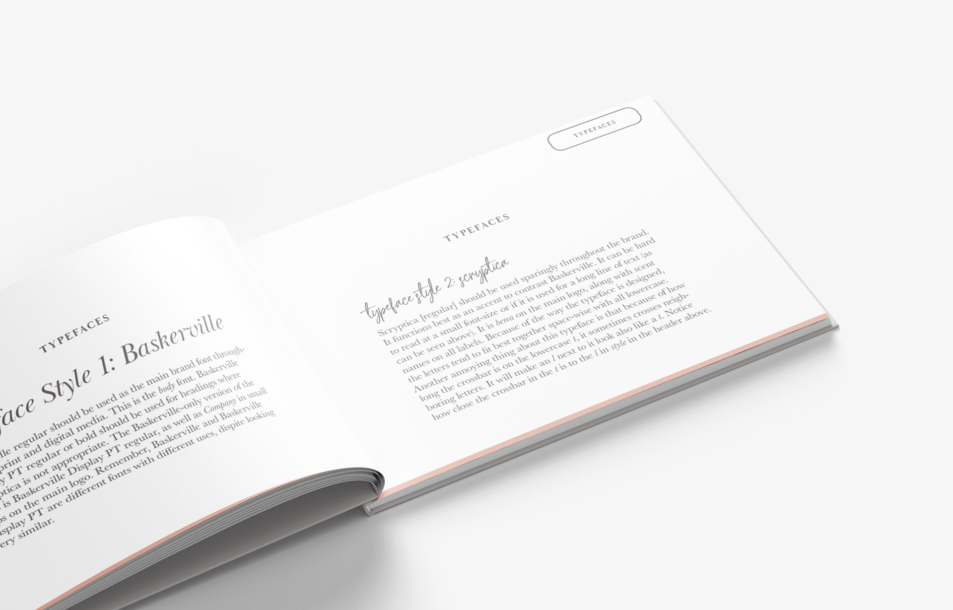 typefaces
