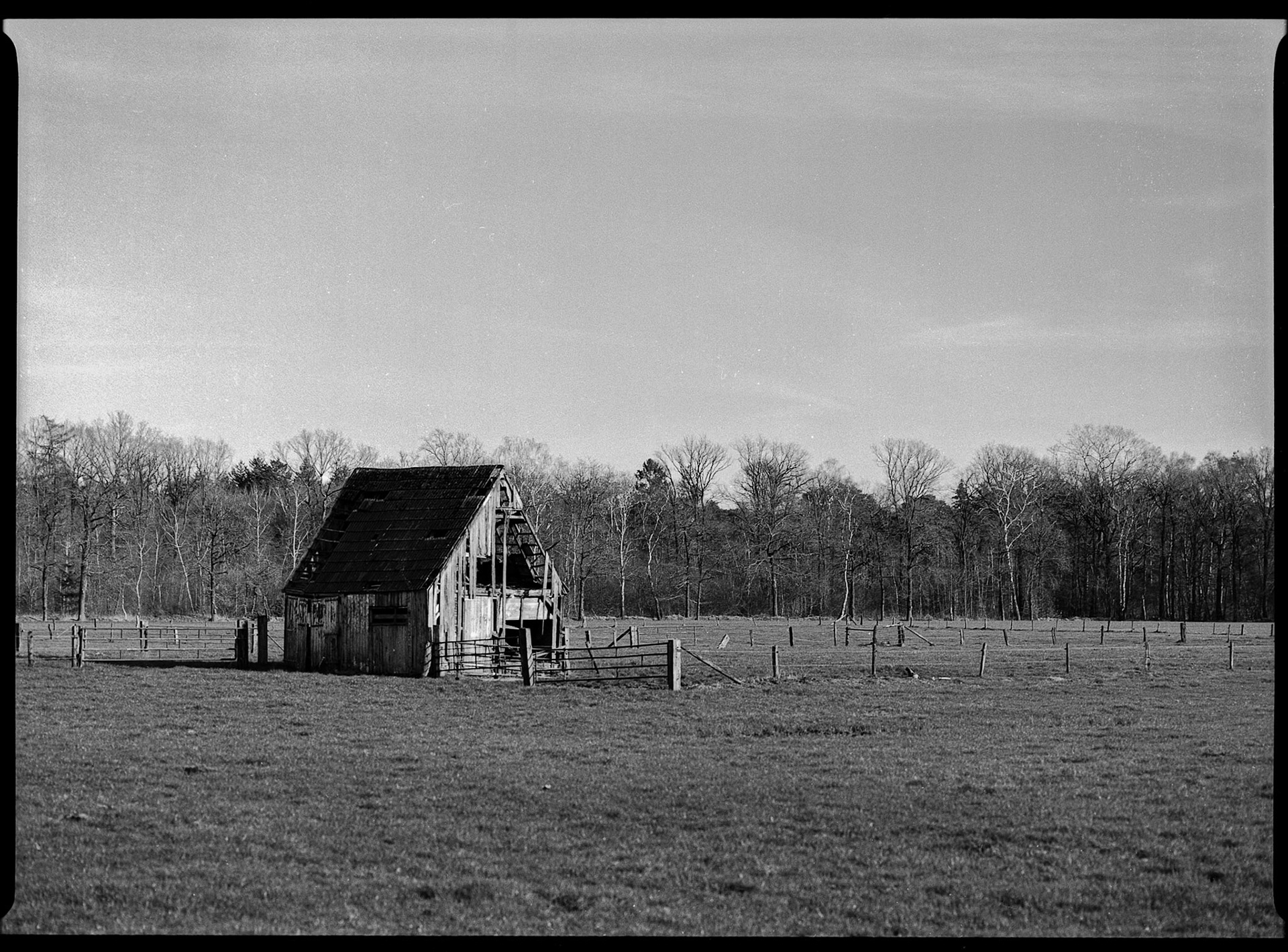 Old shed shot with Pentax 645