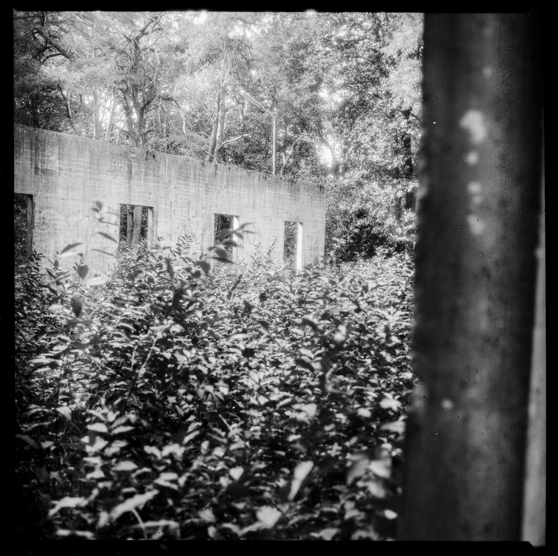 Abandonned shooting range