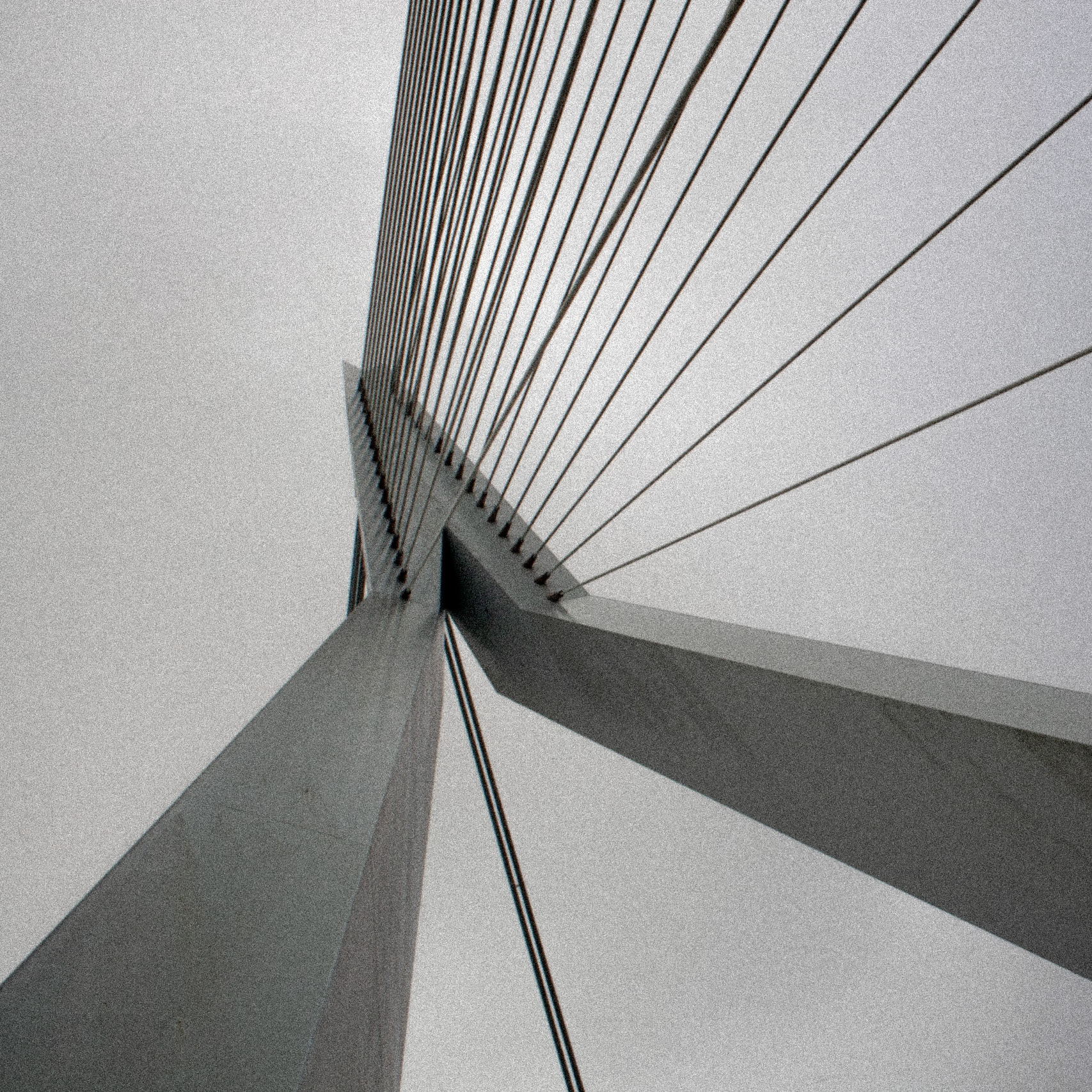 Erasmus bridge