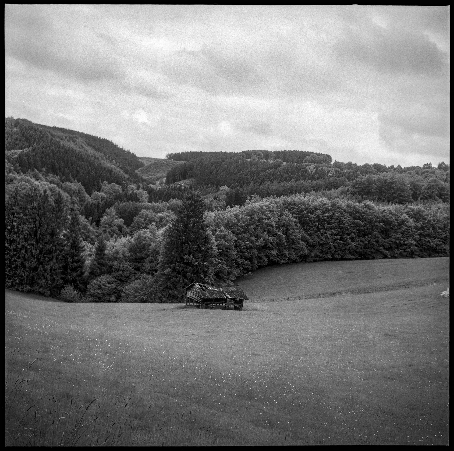 Lightweight Yashica-D is great to bring on a hike