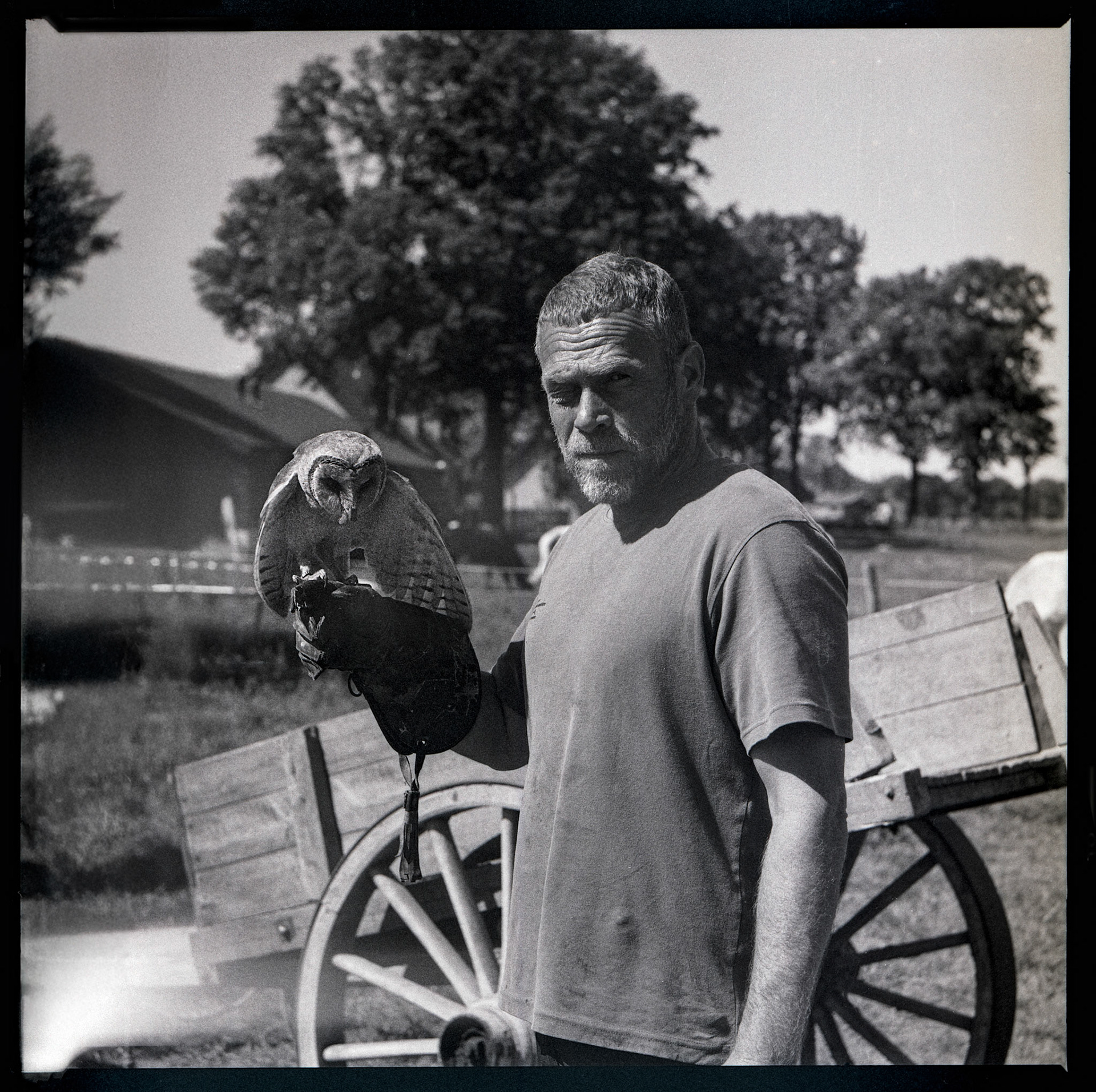 Portrait of a falconer with owl