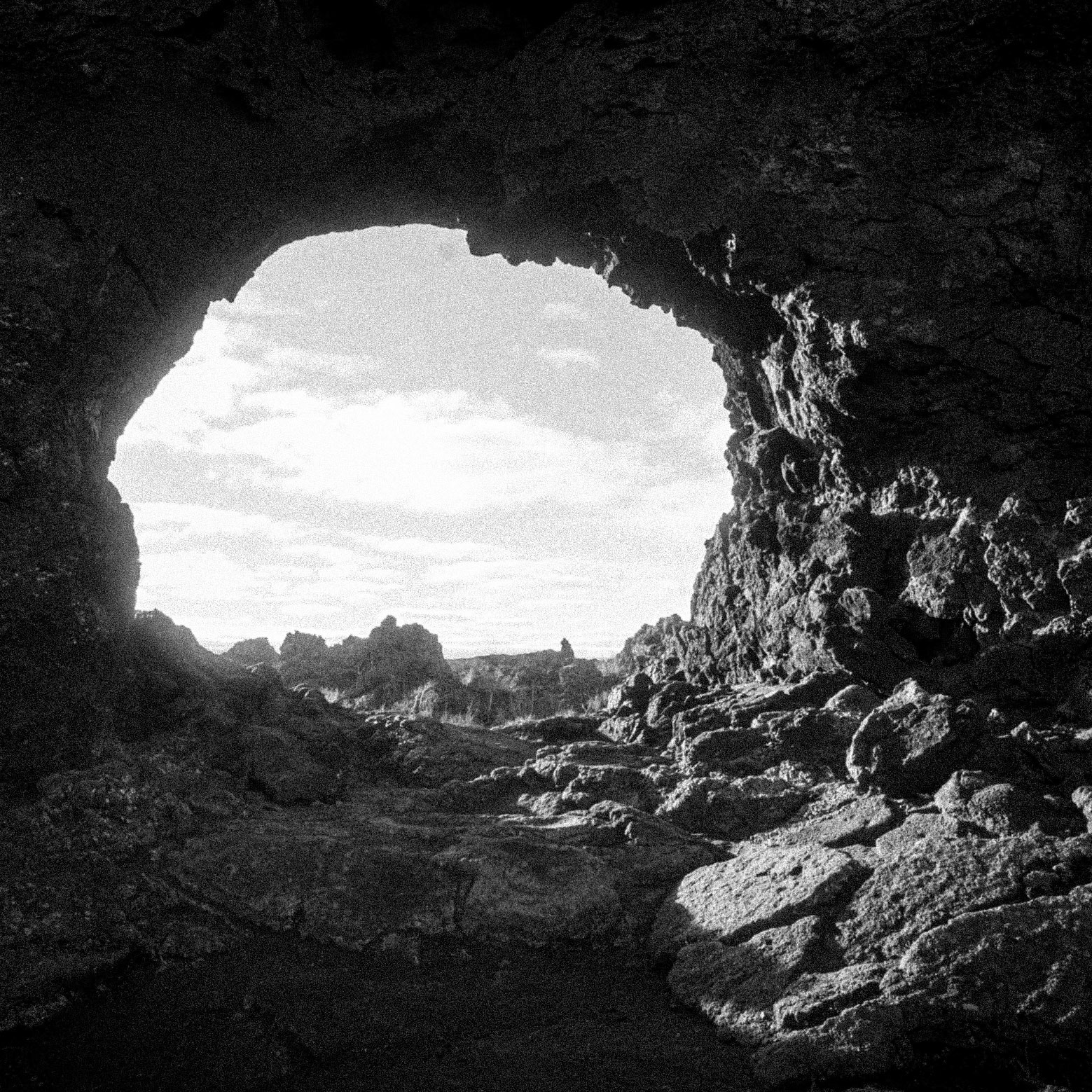 Lava field Dimmuborgir