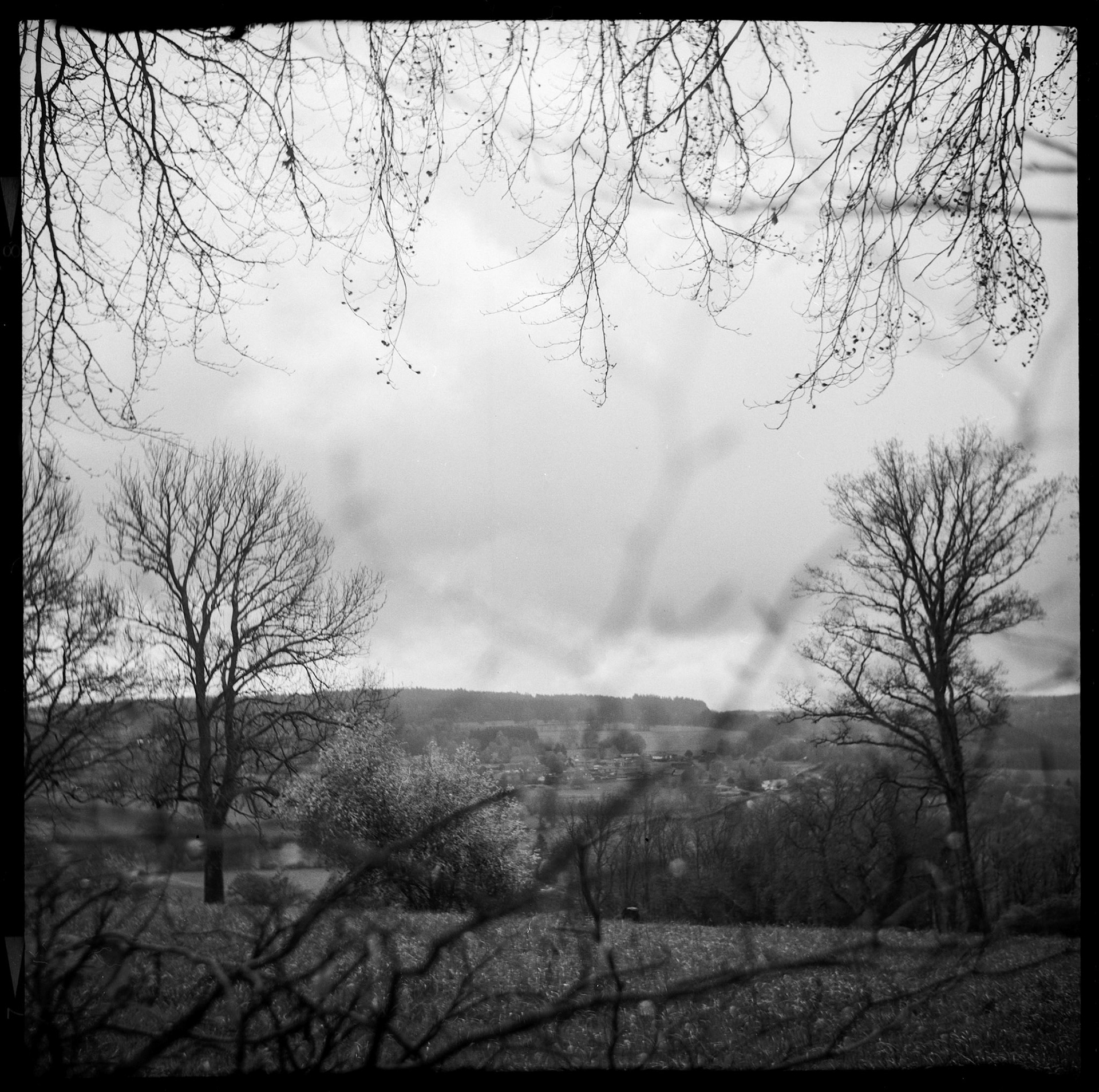 View on the Ardennes landscape