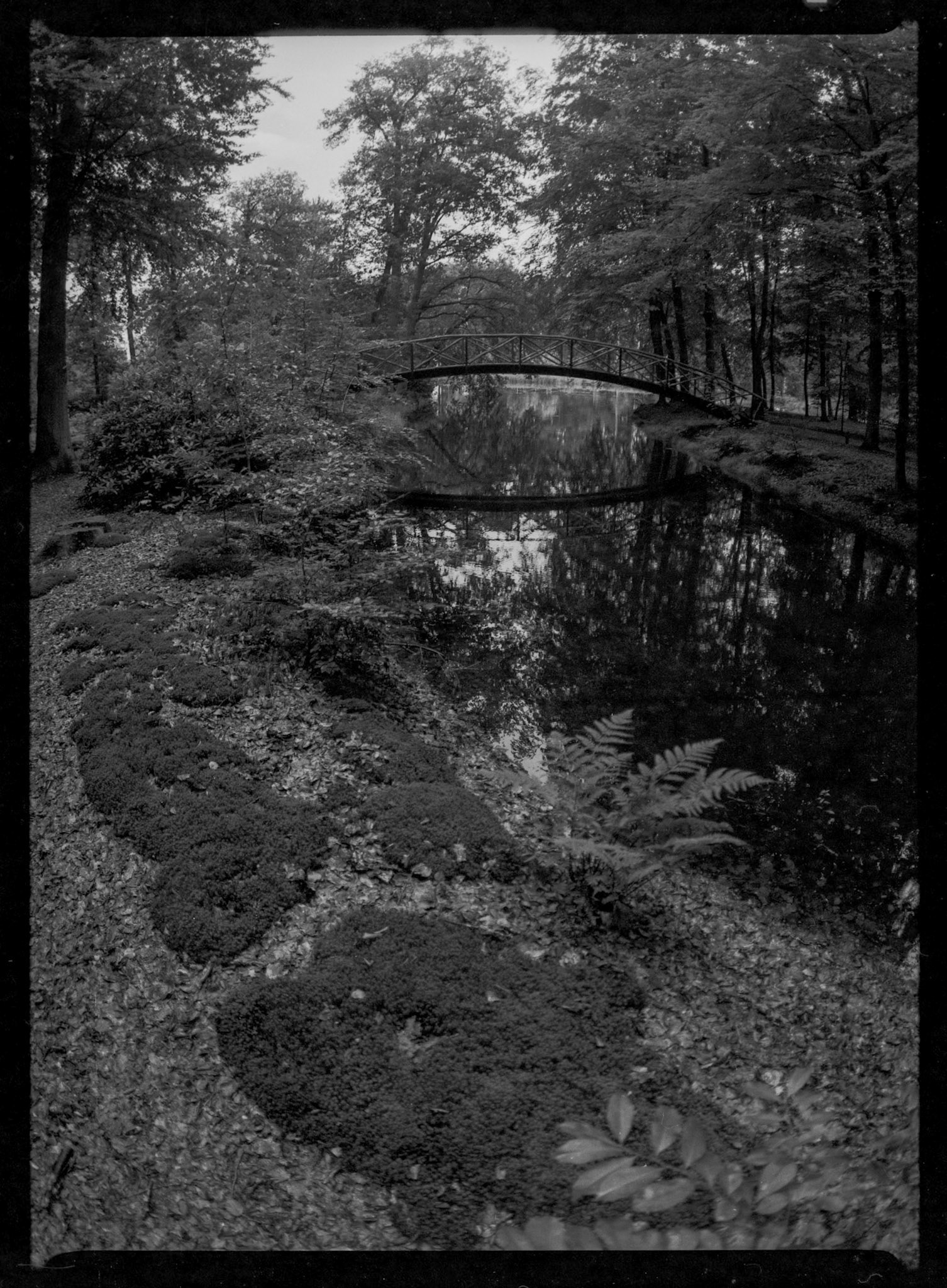 Zodiak-8 Fisheye on Pentax 645