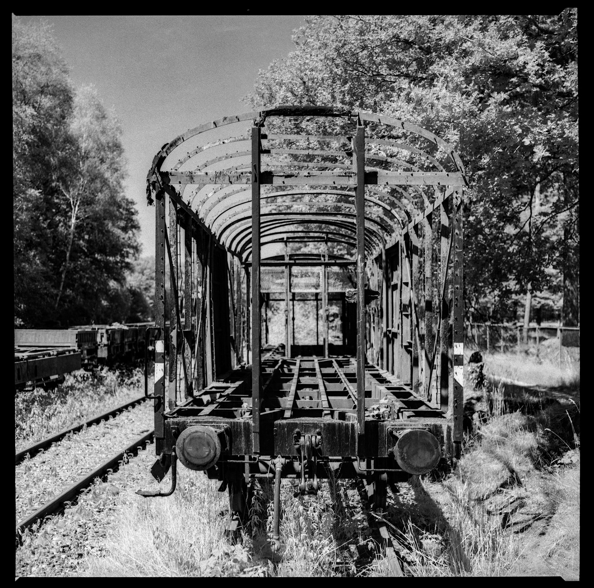 Abandoned train wagons - Kiev 88