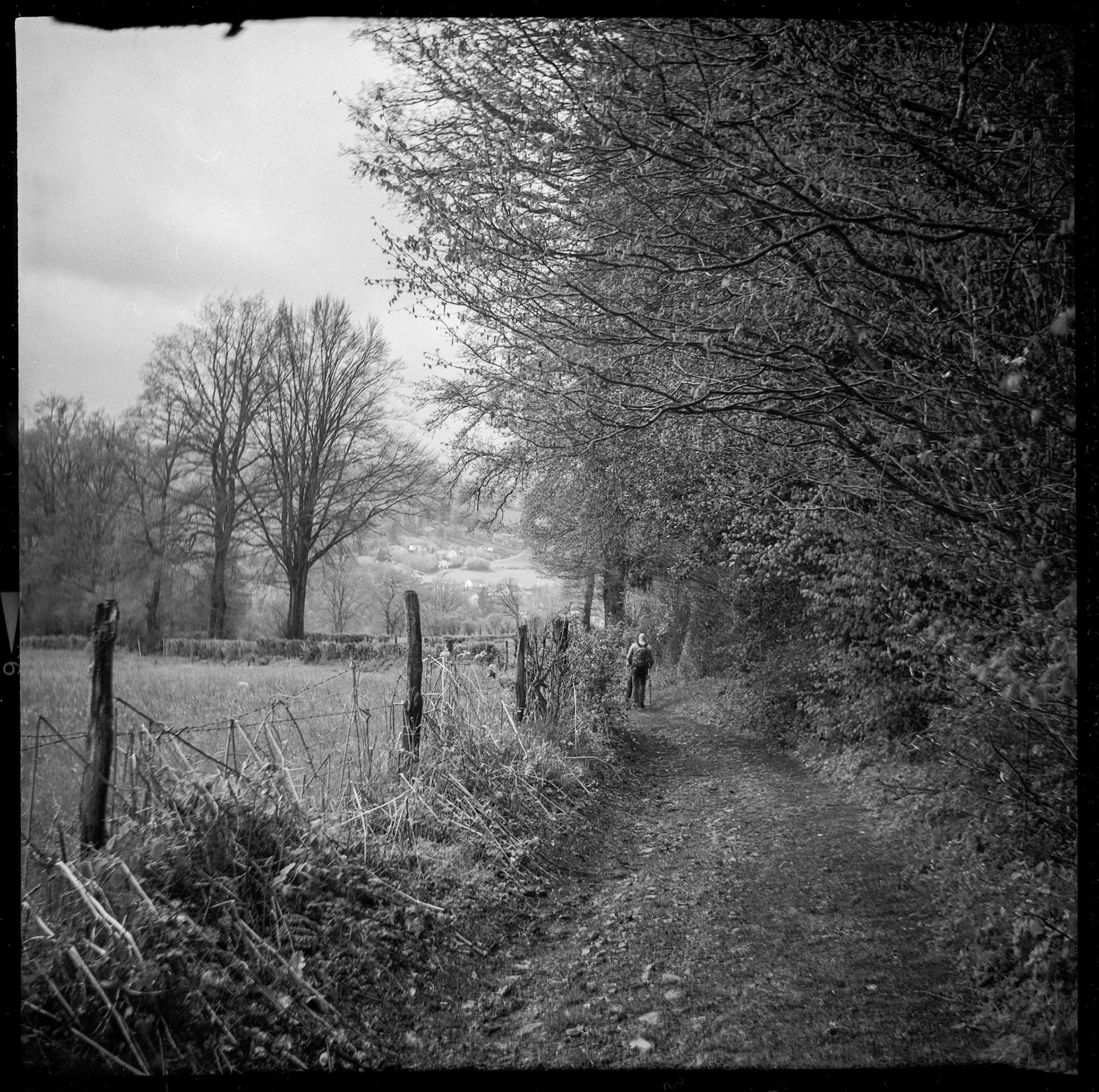 Hiking trail in the Ardennes