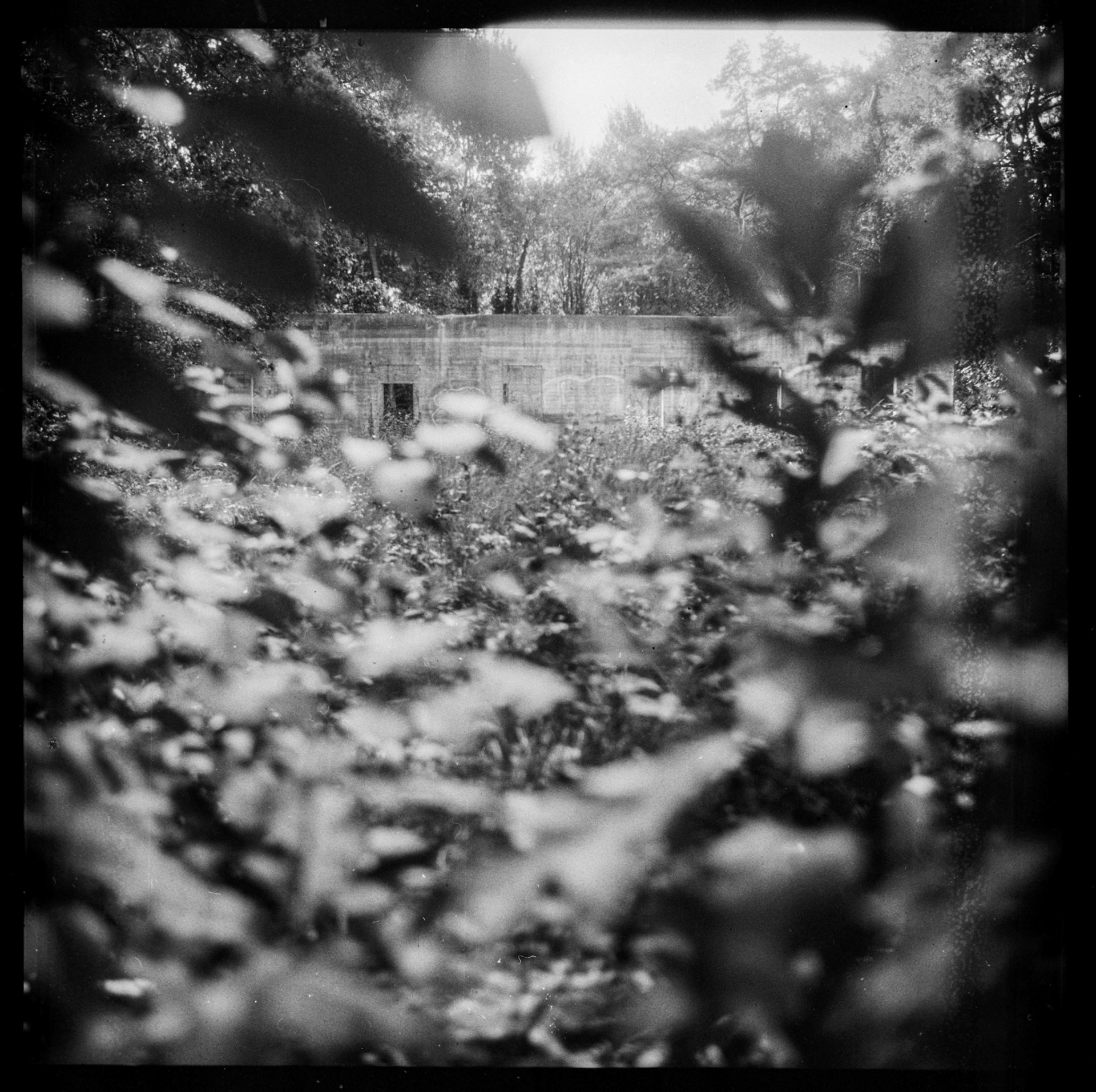 Handmade film from Ukraine