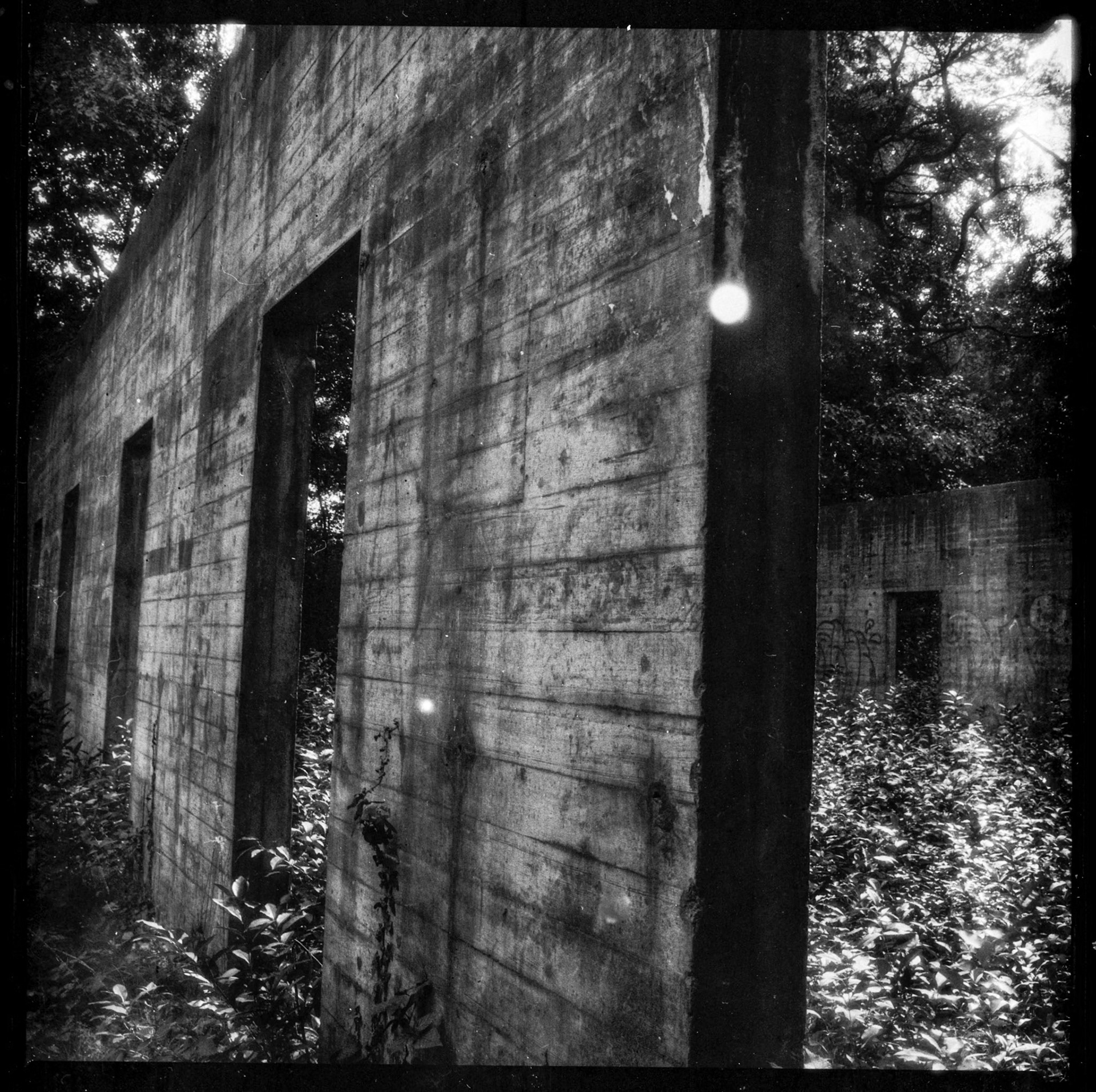 Shot with Polyfilm