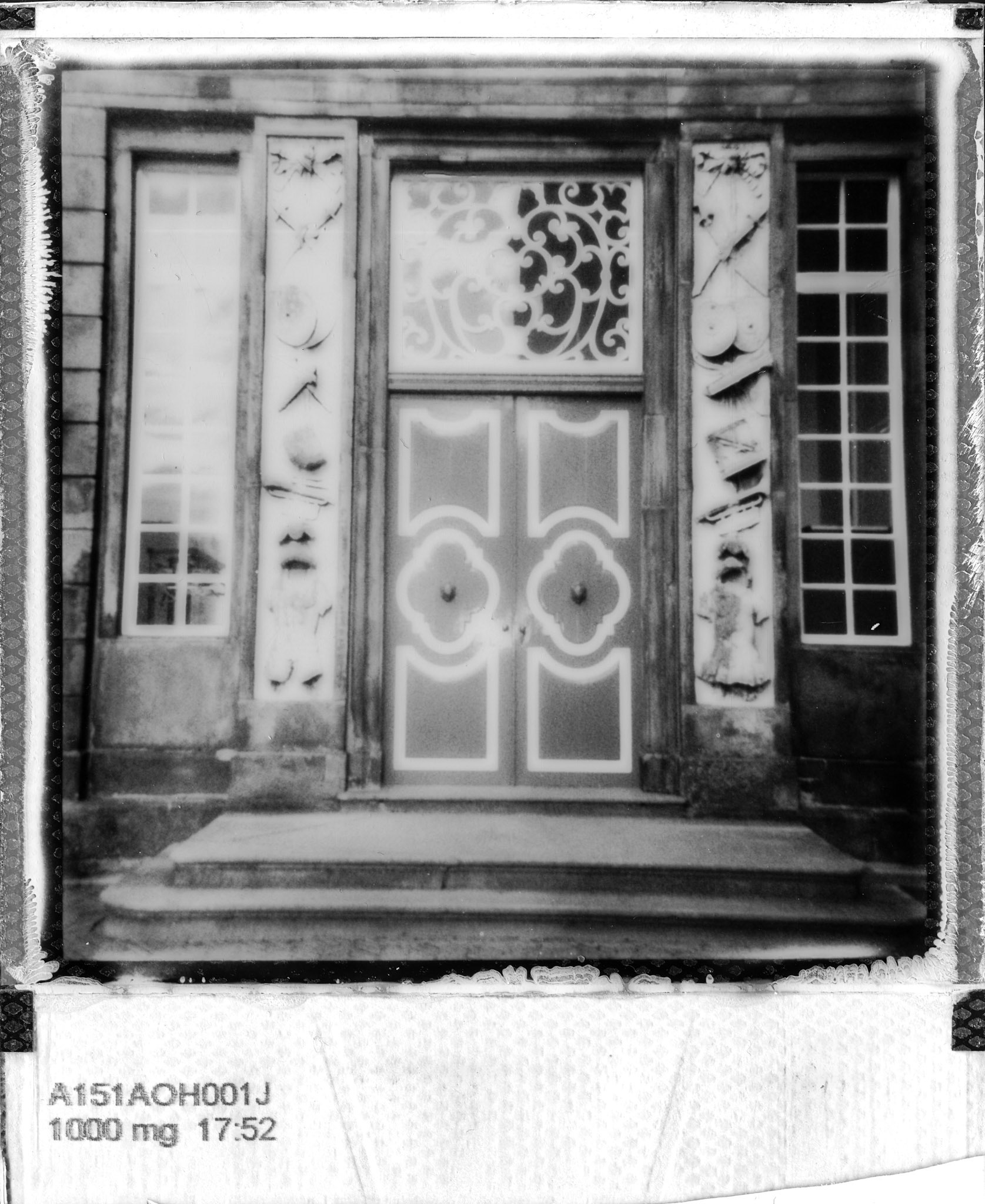 Polaroid Door