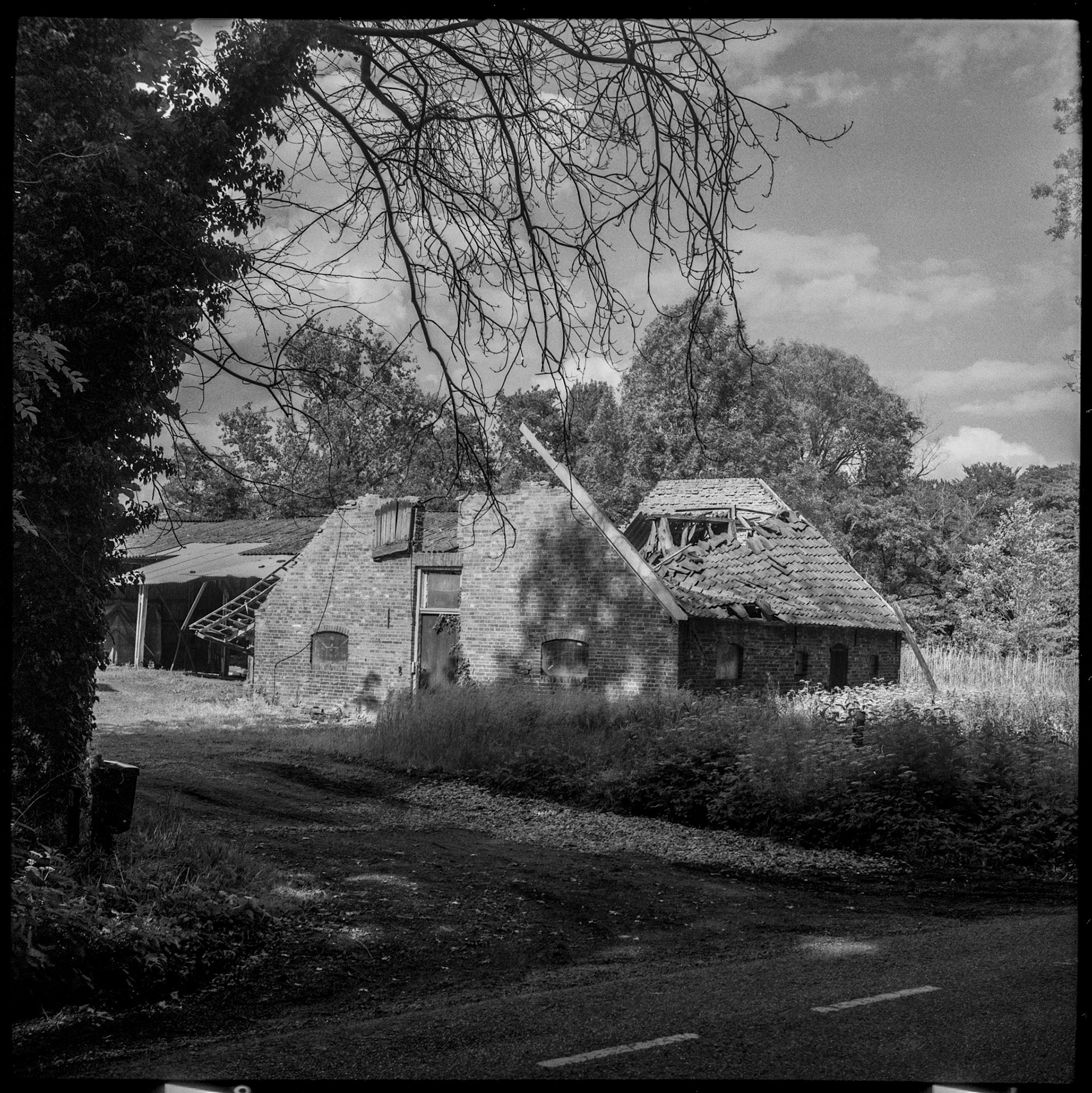 In ruin - Zeiss Ikon Nettar 518/16