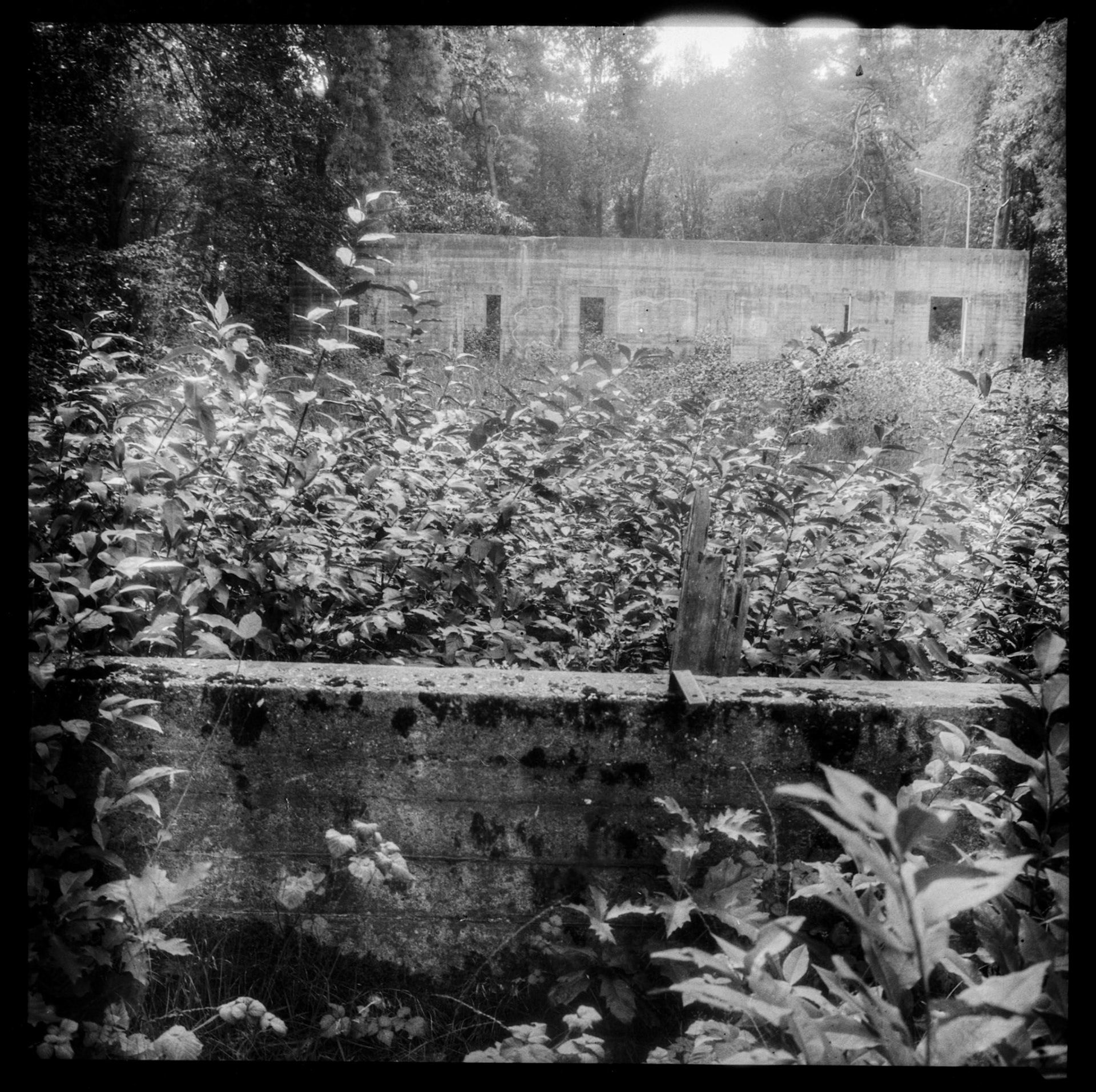 Shot using experimental Polyfilm