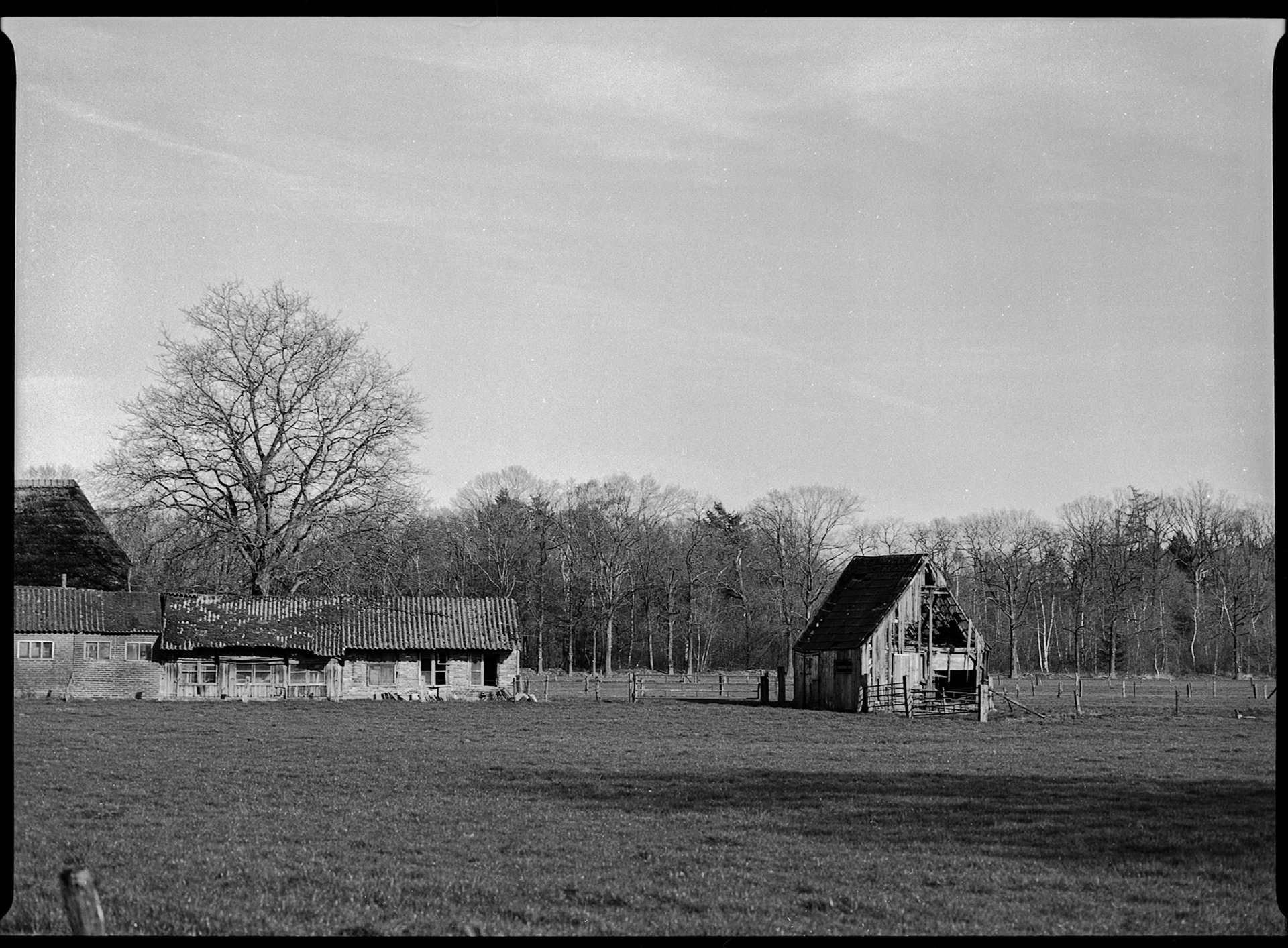 Old shed - Pentax 645