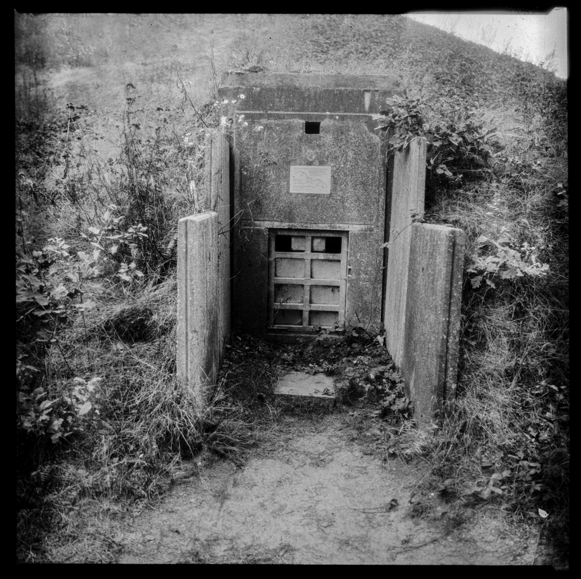 Batcave