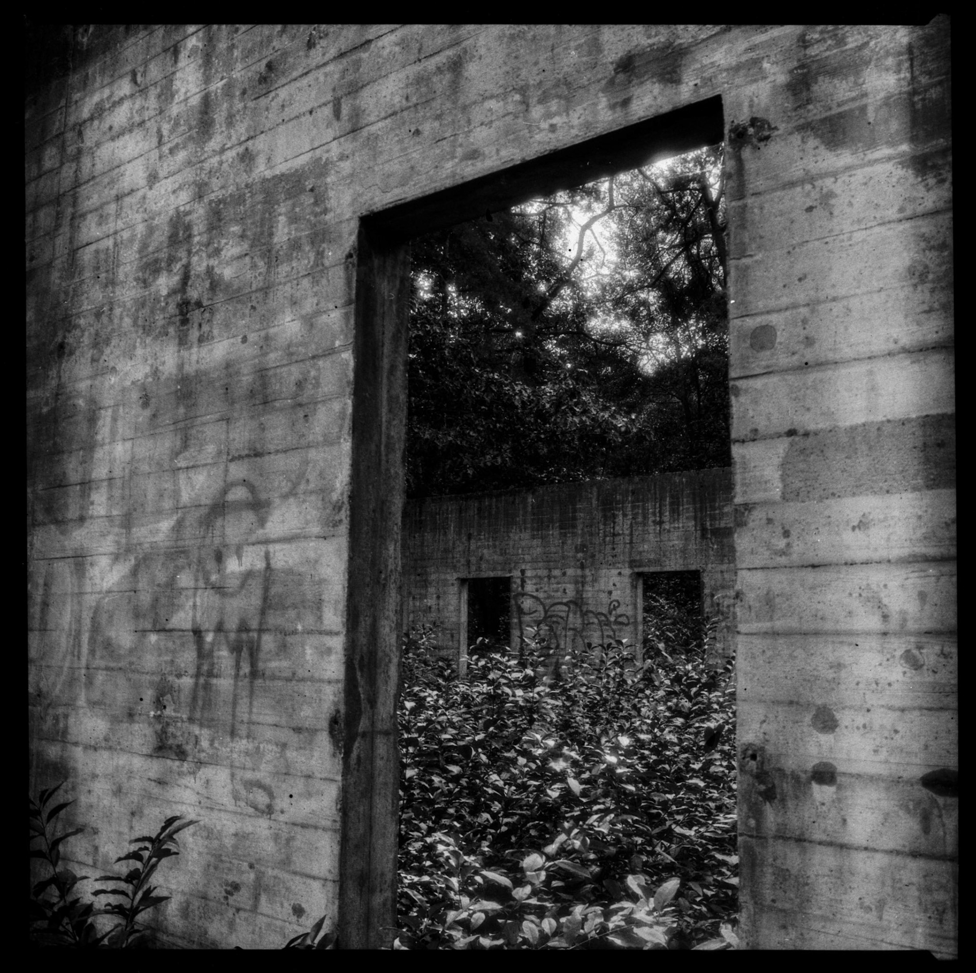 Abandonned shooting range