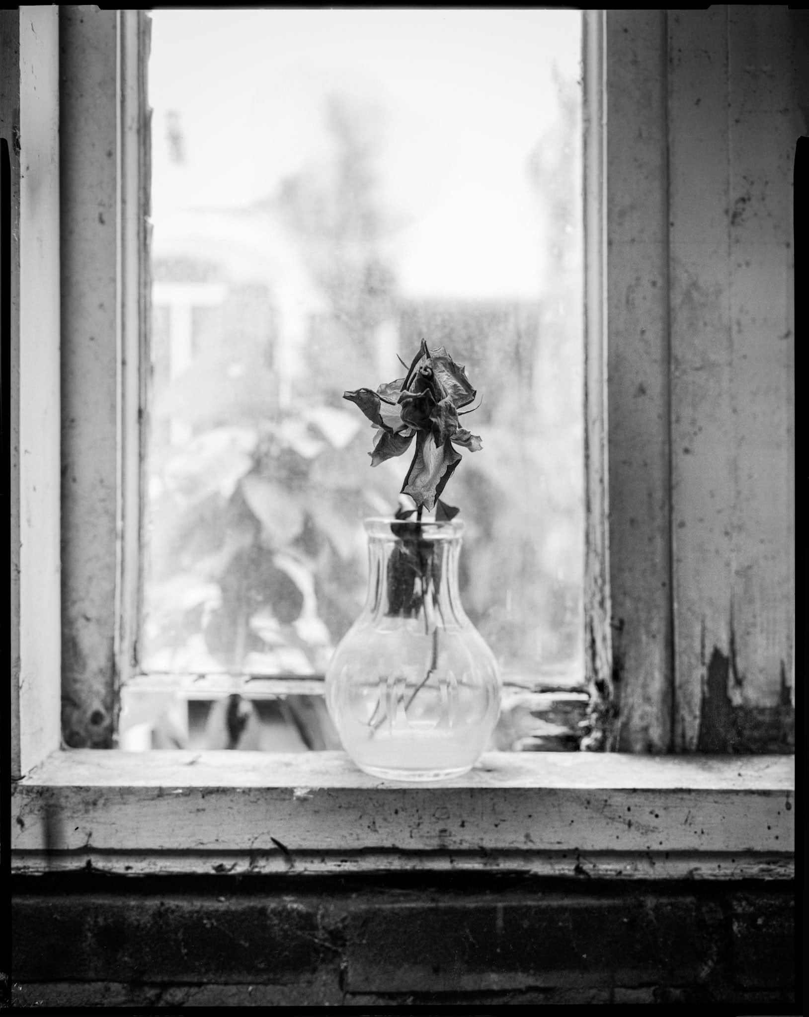 Transience on 4x5 large format sheetfilm